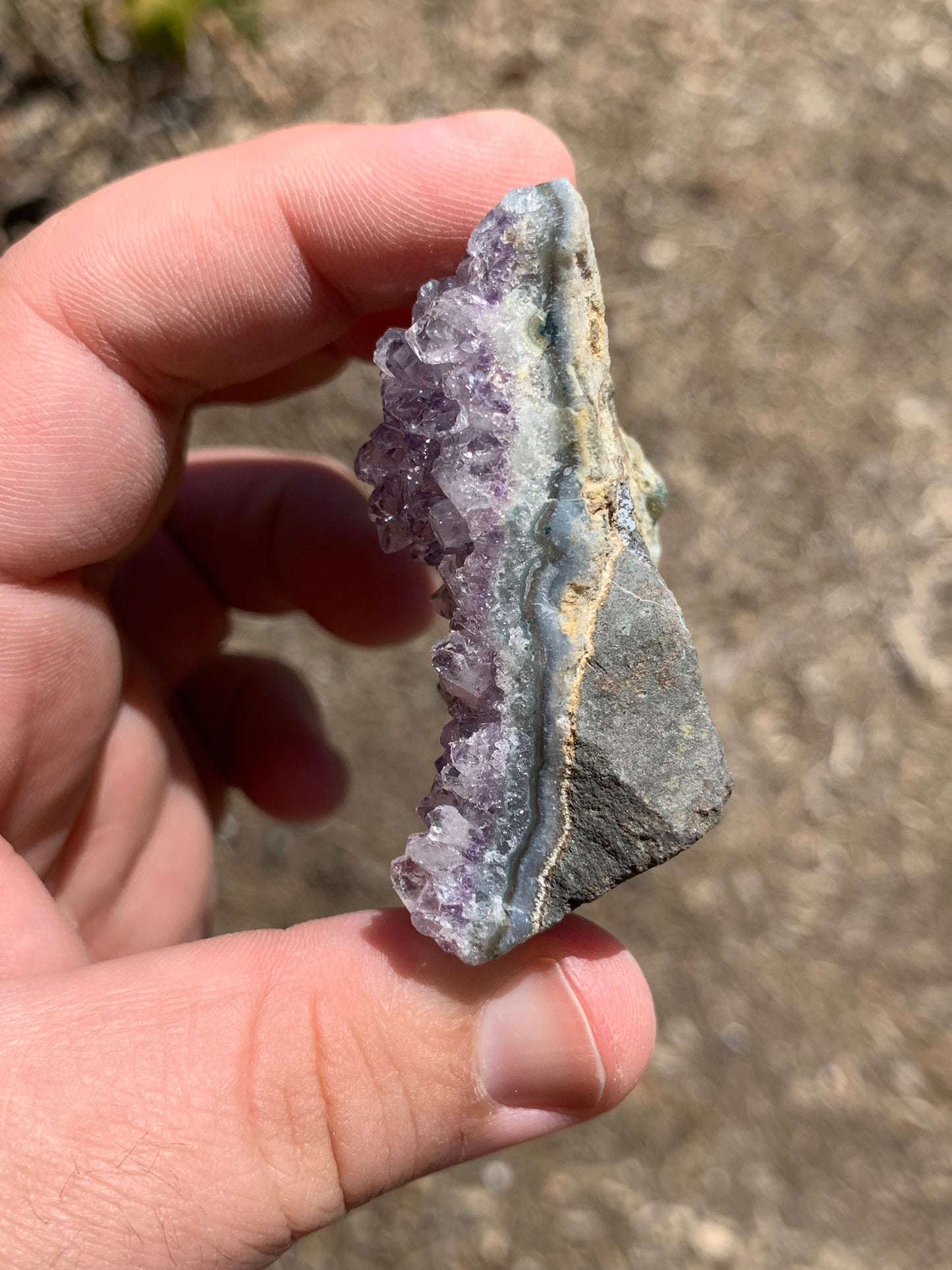 Amethyst Cluster Brazil Mineral Specimen