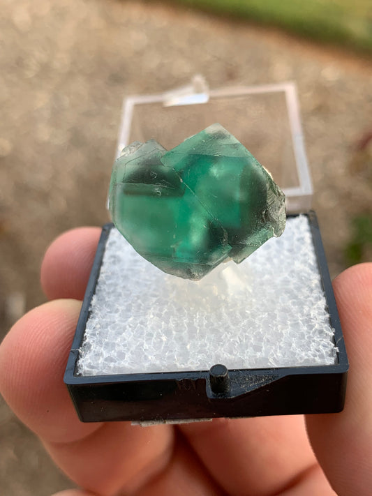 2020 Alien Eye Fluorite Thumbnail Erongo Namibia Mineral Specimen