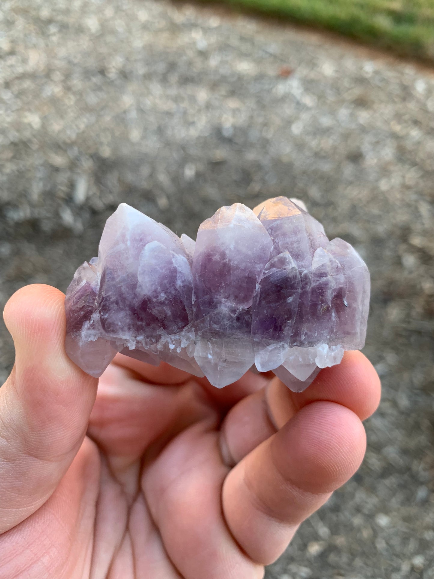 Guerrero Amethyst Cluster Mexico Mineral Specimen