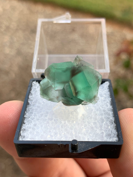 2020 Alien Eye Fluorite Thumbnail Erongo Namibia Mineral Specimen