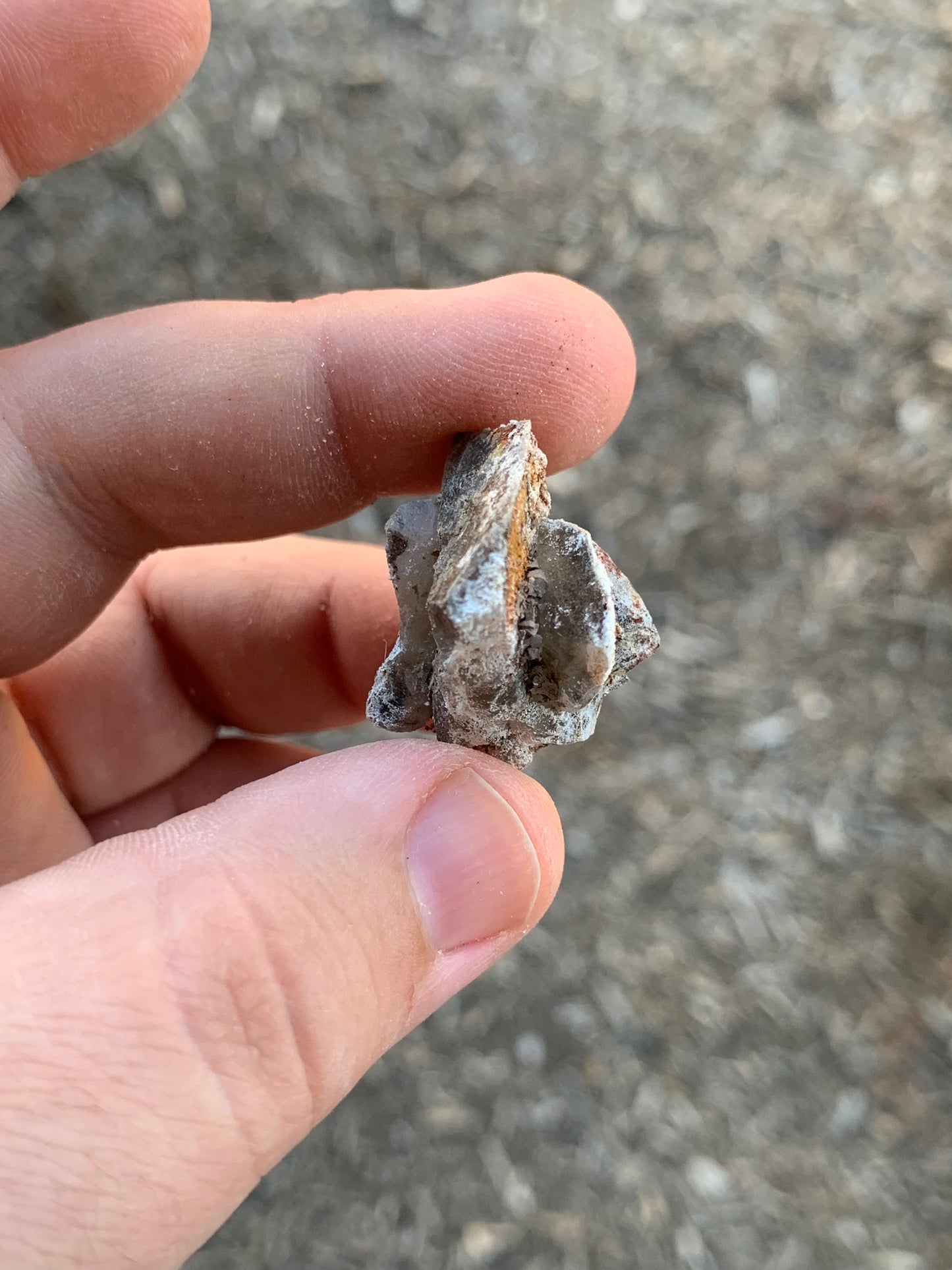 Glauberite Crystal California USA Mineral Specimen