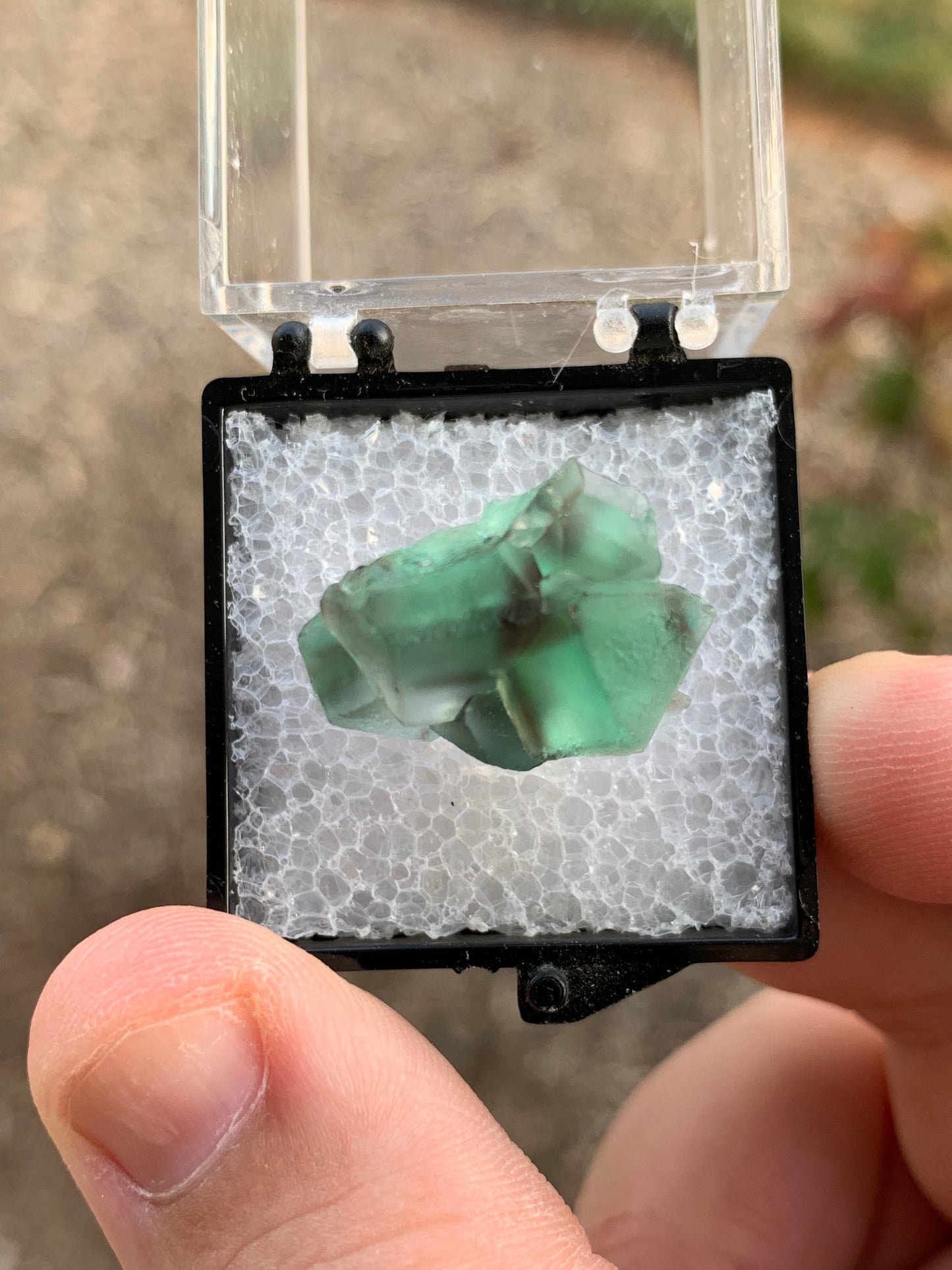 2020 Alien Eye Fluorite Thumbnail Erongo Namibia Mineral Specimen