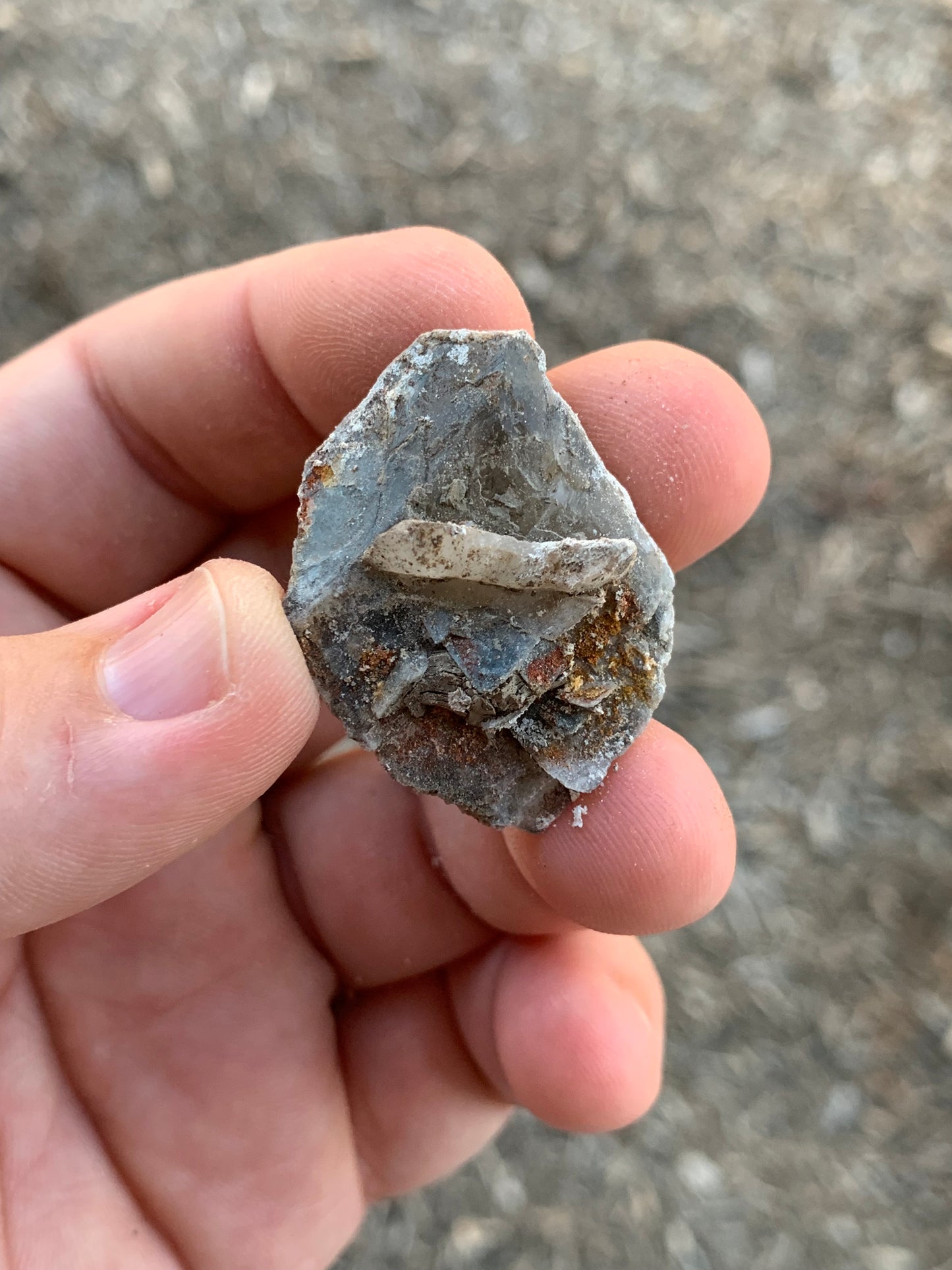 Glauberite Crystal California USA Mineral Specimen