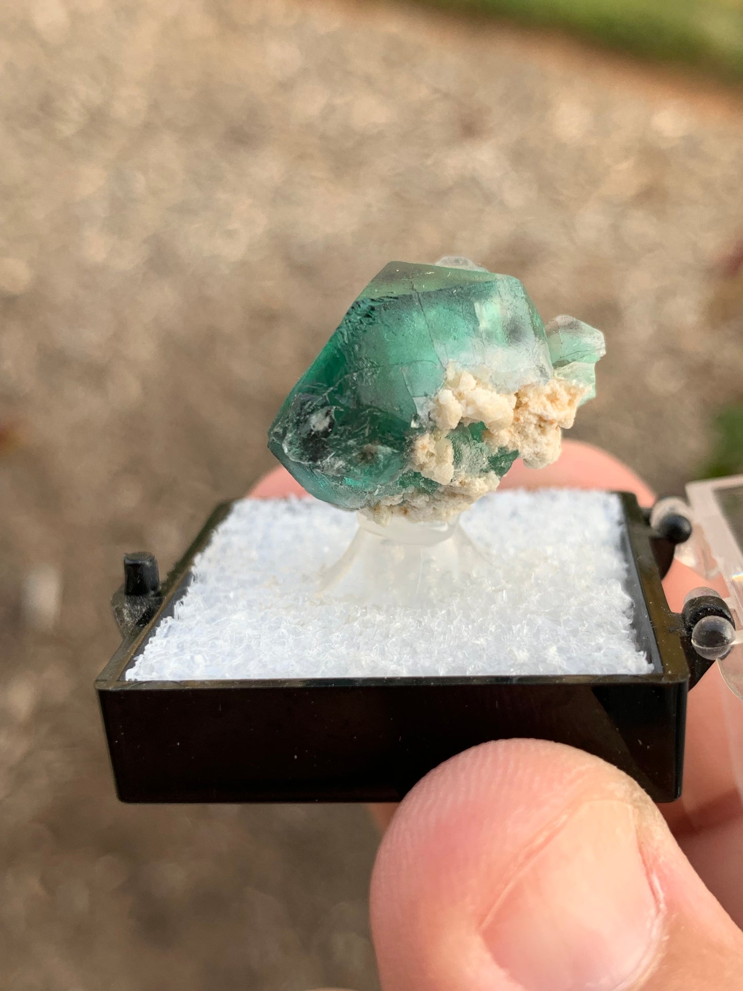 2020 Alien Eye Fluorite Thumbnail Erongo Namibia Mineral Specimen