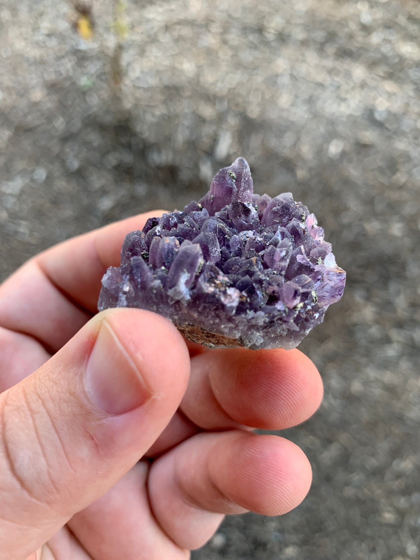 Chala Mine Pyrite and Amethyst Cluster Bulgarian Mineral Specimen