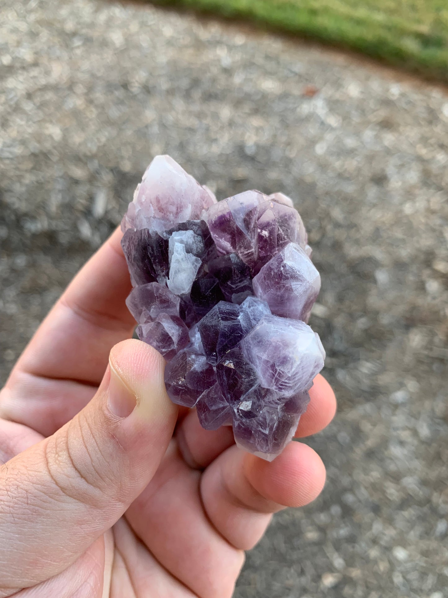 Guerrero Amethyst Cluster Mexico Mineral Specimen