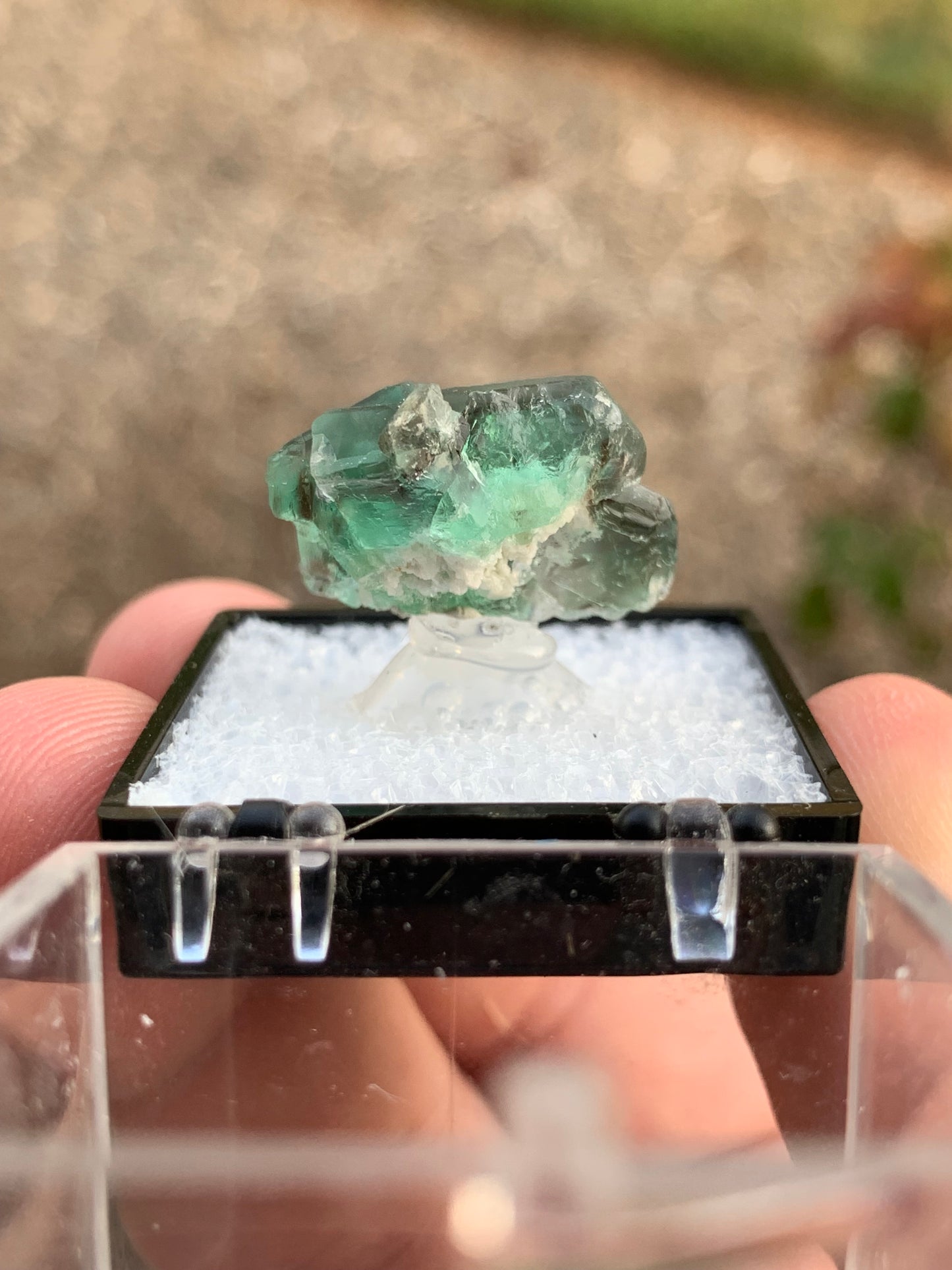 2020 Alien Eye Fluorite Thumbnail Erongo Namibia Mineral Specimen