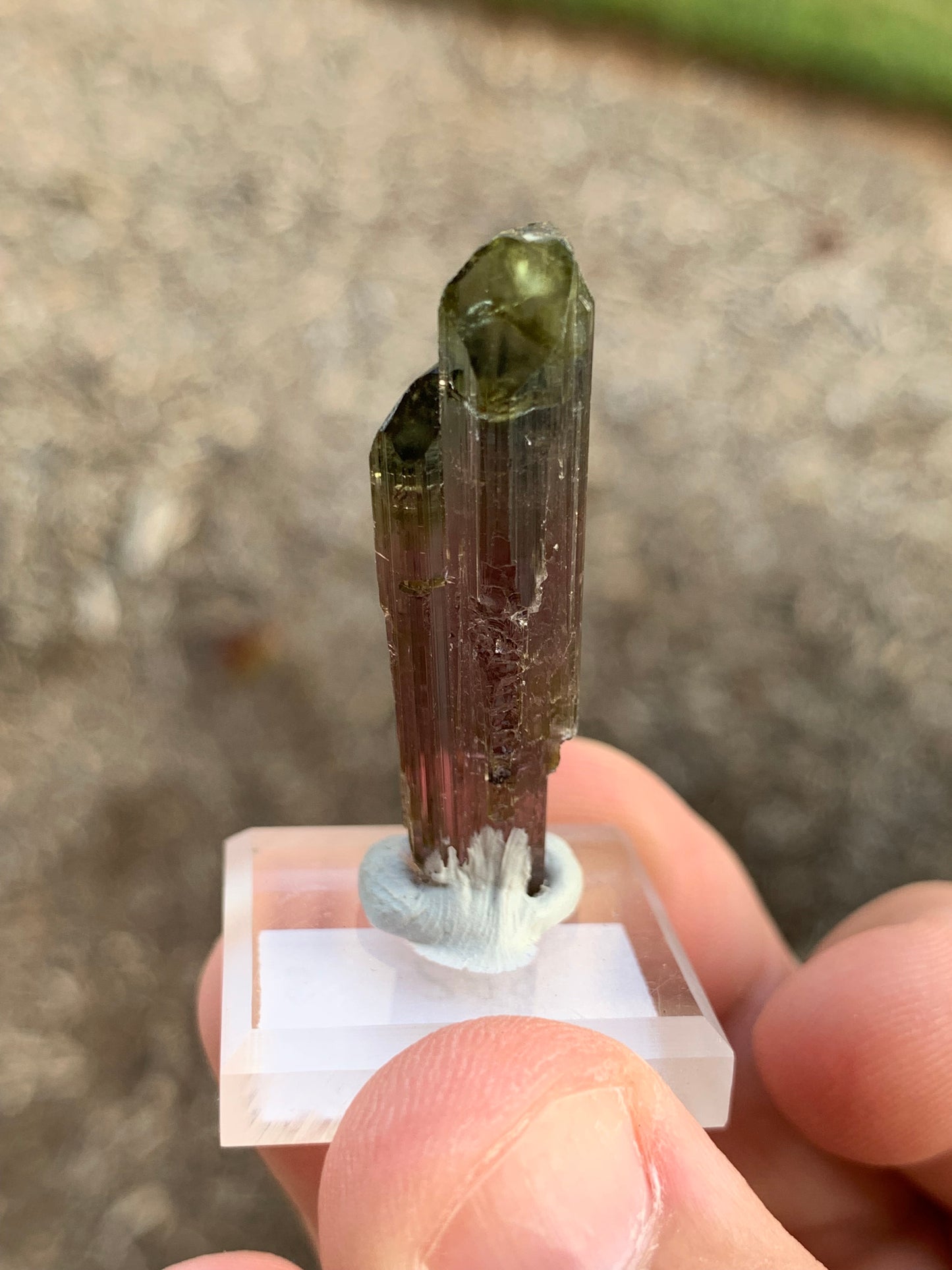 Aricanga Mine Watermelon Brazillian Tourmaline Mineral Specimen