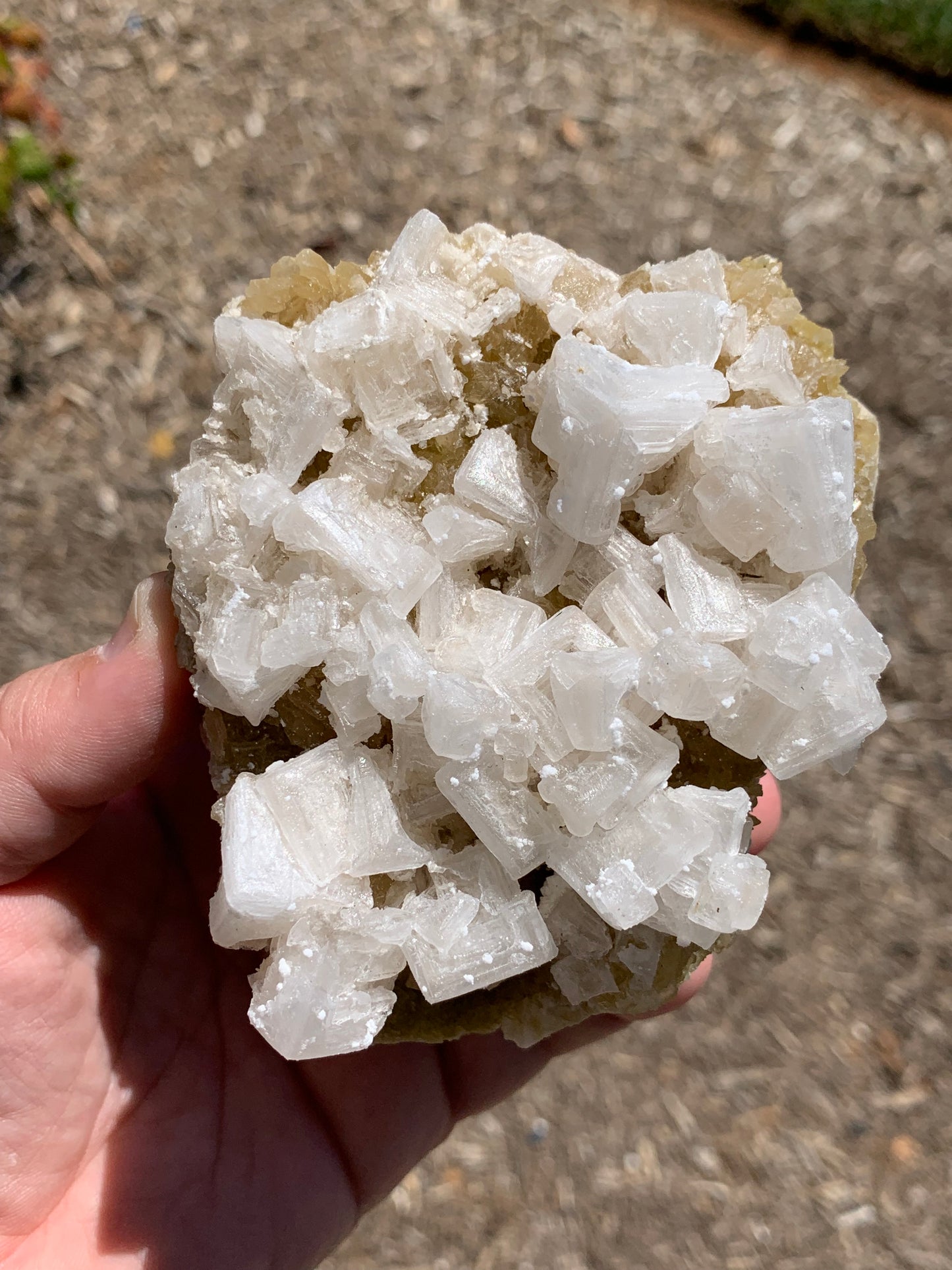 Halite Salt Crystal Cluster Searles Lake California USA Mineral Specimen