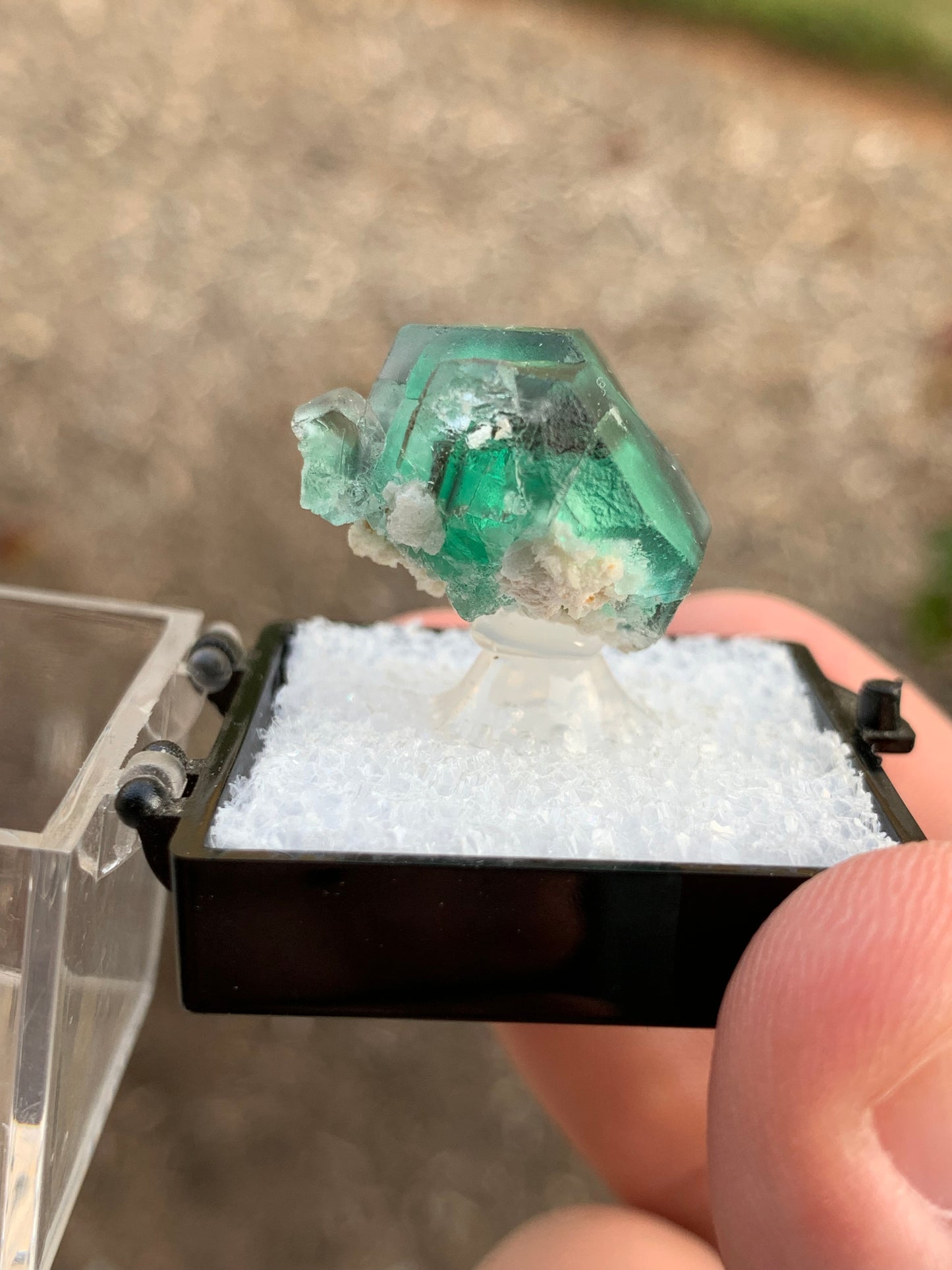 2020 Alien Eye Fluorite Thumbnail Erongo Namibia Mineral Specimen