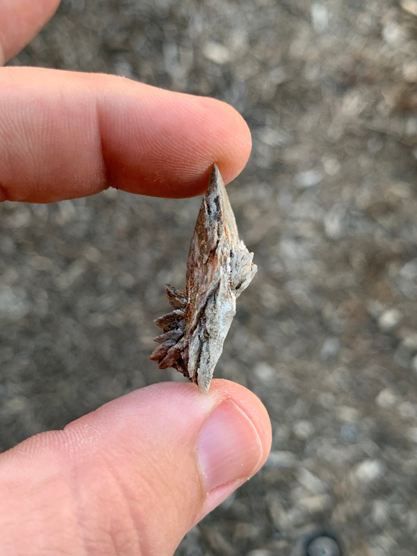 Glauberite Crystal California USA Mineral Specimen