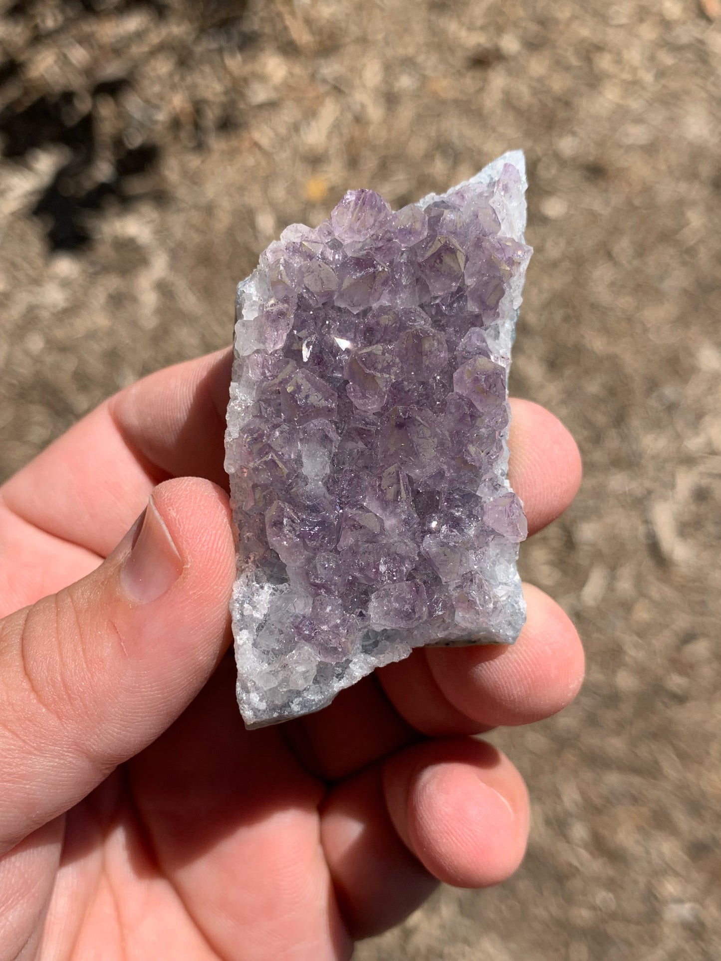 Amethyst Cluster Brazil Mineral Specimen