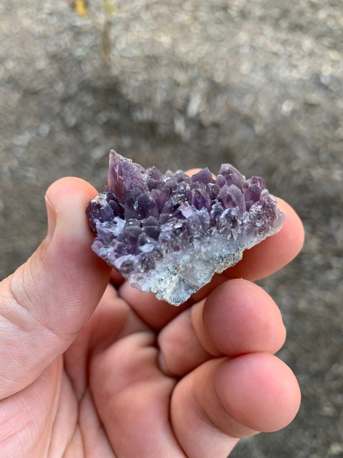 Chala Mine Pyrite and Amethyst Cluster Bulgarian Mineral Specimen