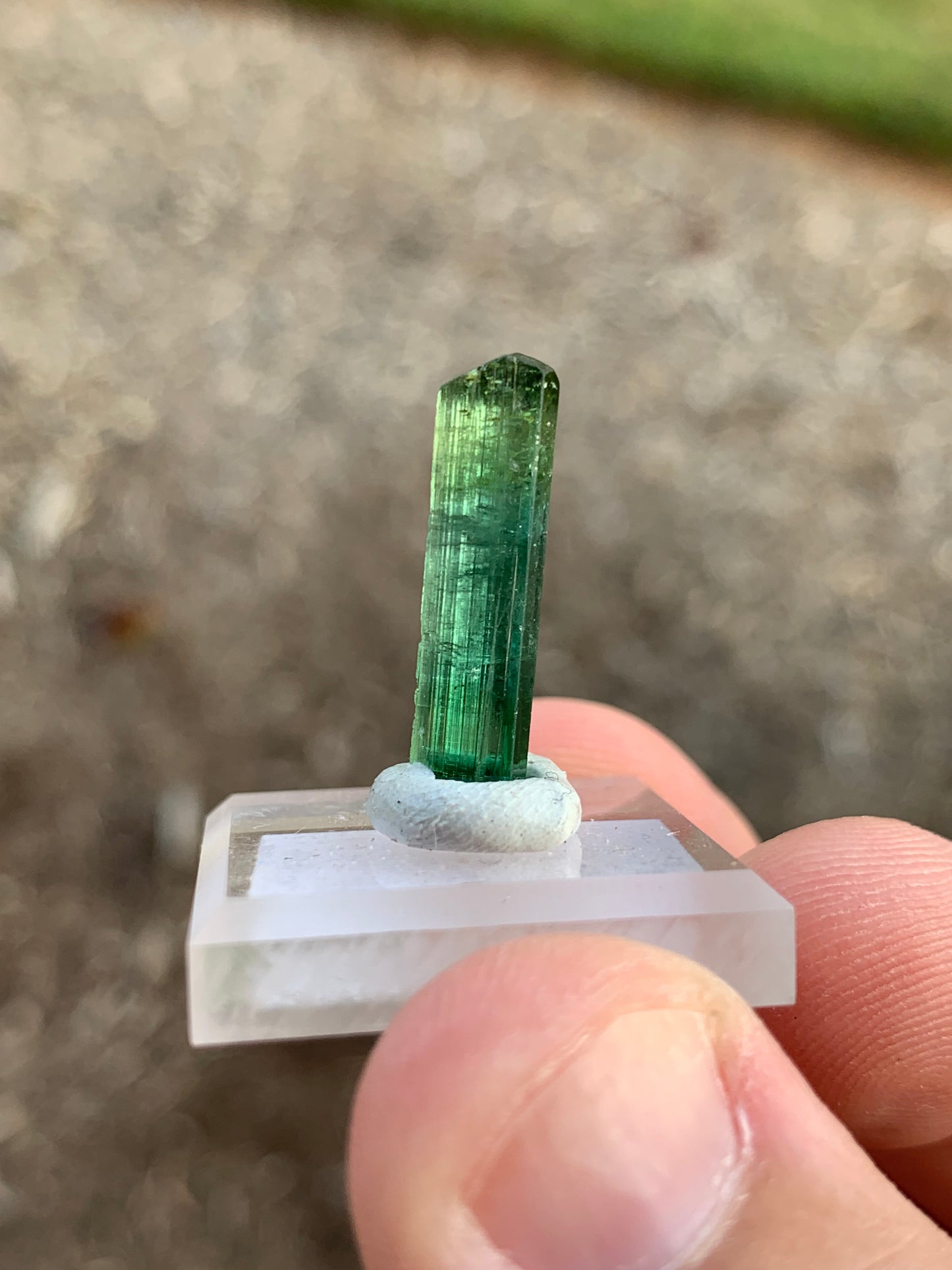 Barra de Salinas Brazillian Tourmaline Mineral Specimen