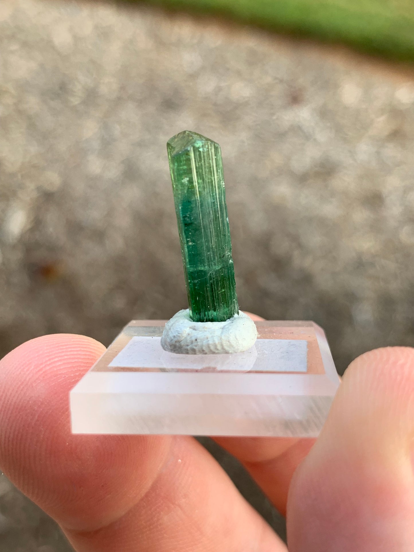 Barra de Salinas Brazillian Tourmaline Mineral Specimen