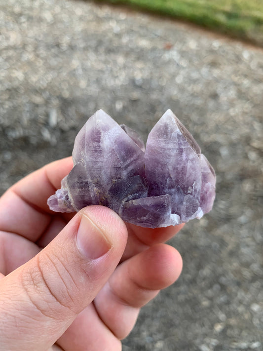 Guerrero Amethyst Cluster Mexico Mineral Specimen