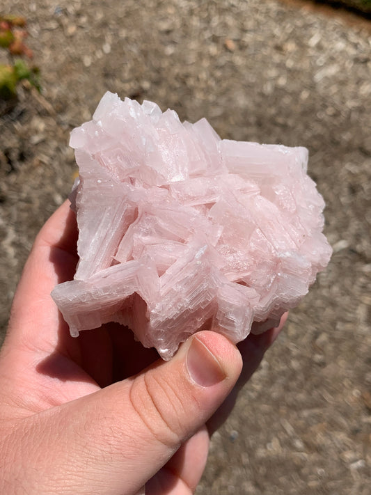 Halite Salt Crystal Cluster Searles Lake California USA Mineral Specimen