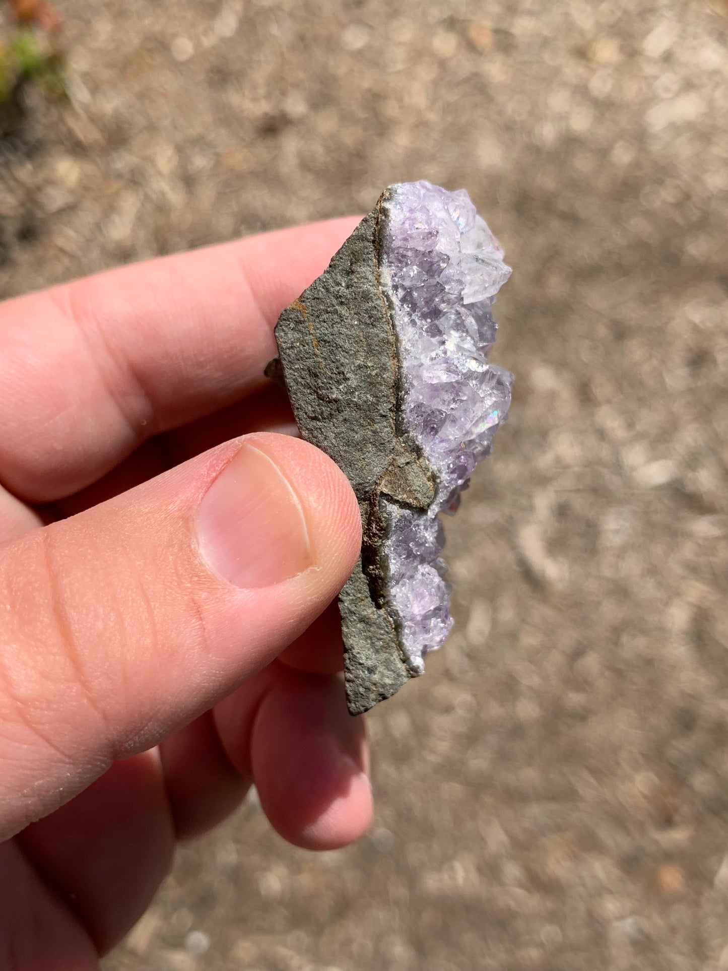 Amethyst Cluster Brazil Mineral Specimen