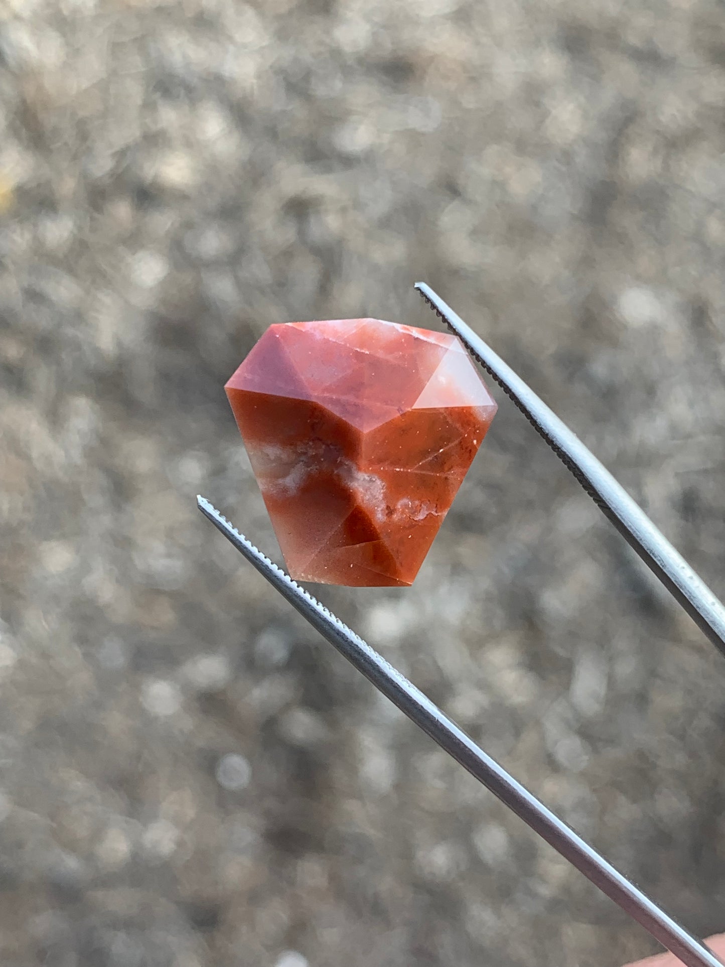 Gemstone Faceted Petrified Wood Arizona USA