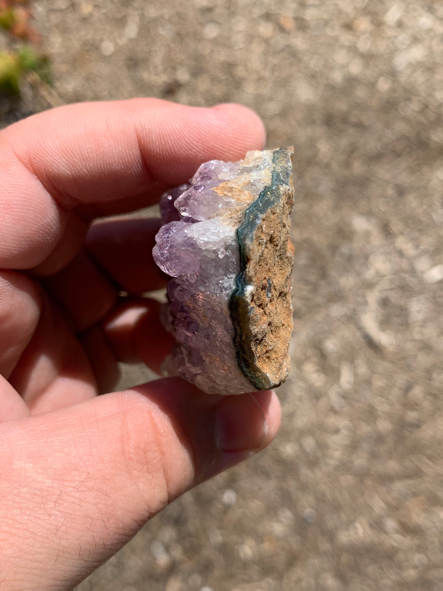 Amethyst Cluster Brazil Mineral Specimen