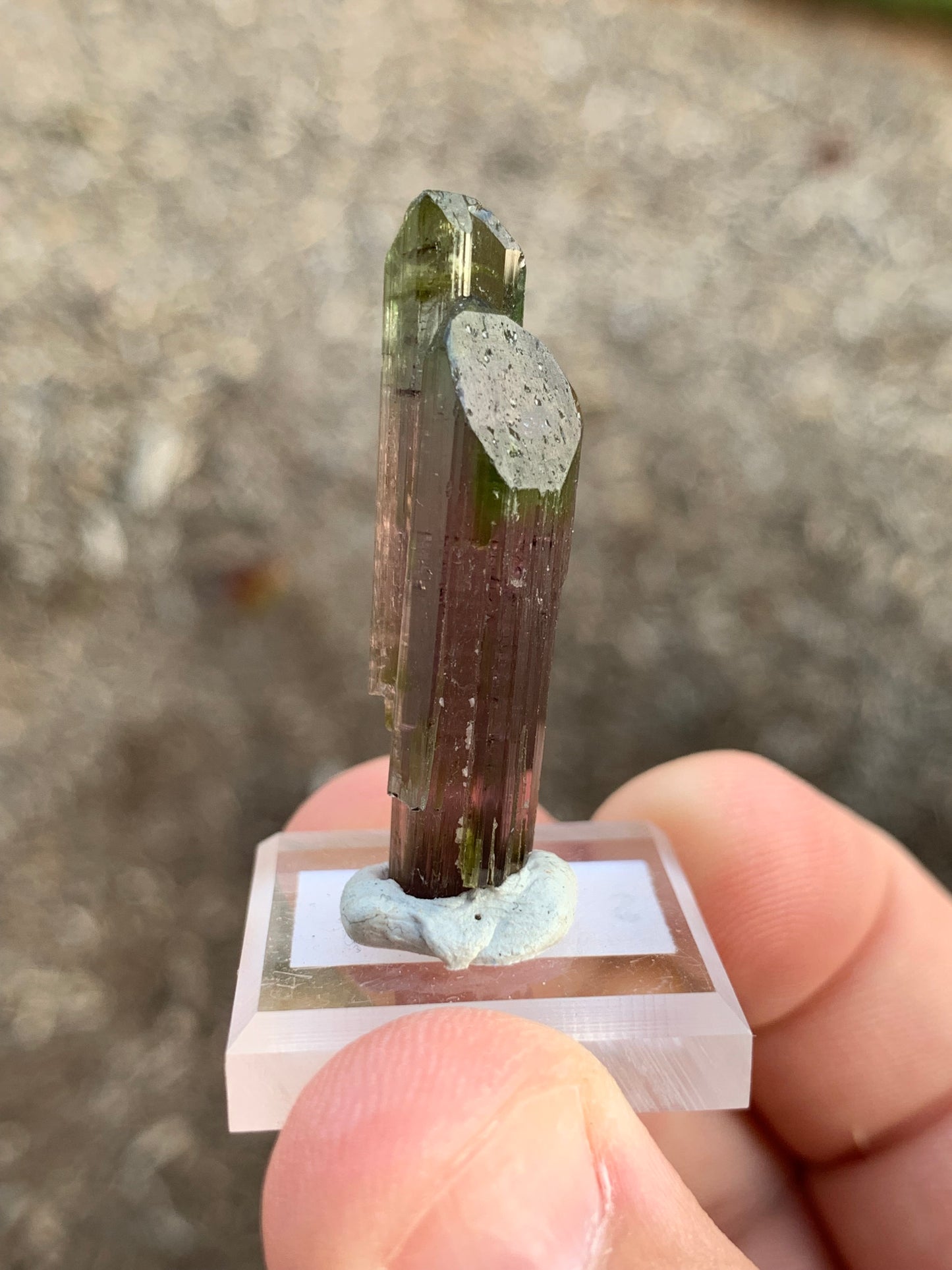 Aricanga Mine Watermelon Brazillian Tourmaline Mineral Specimen