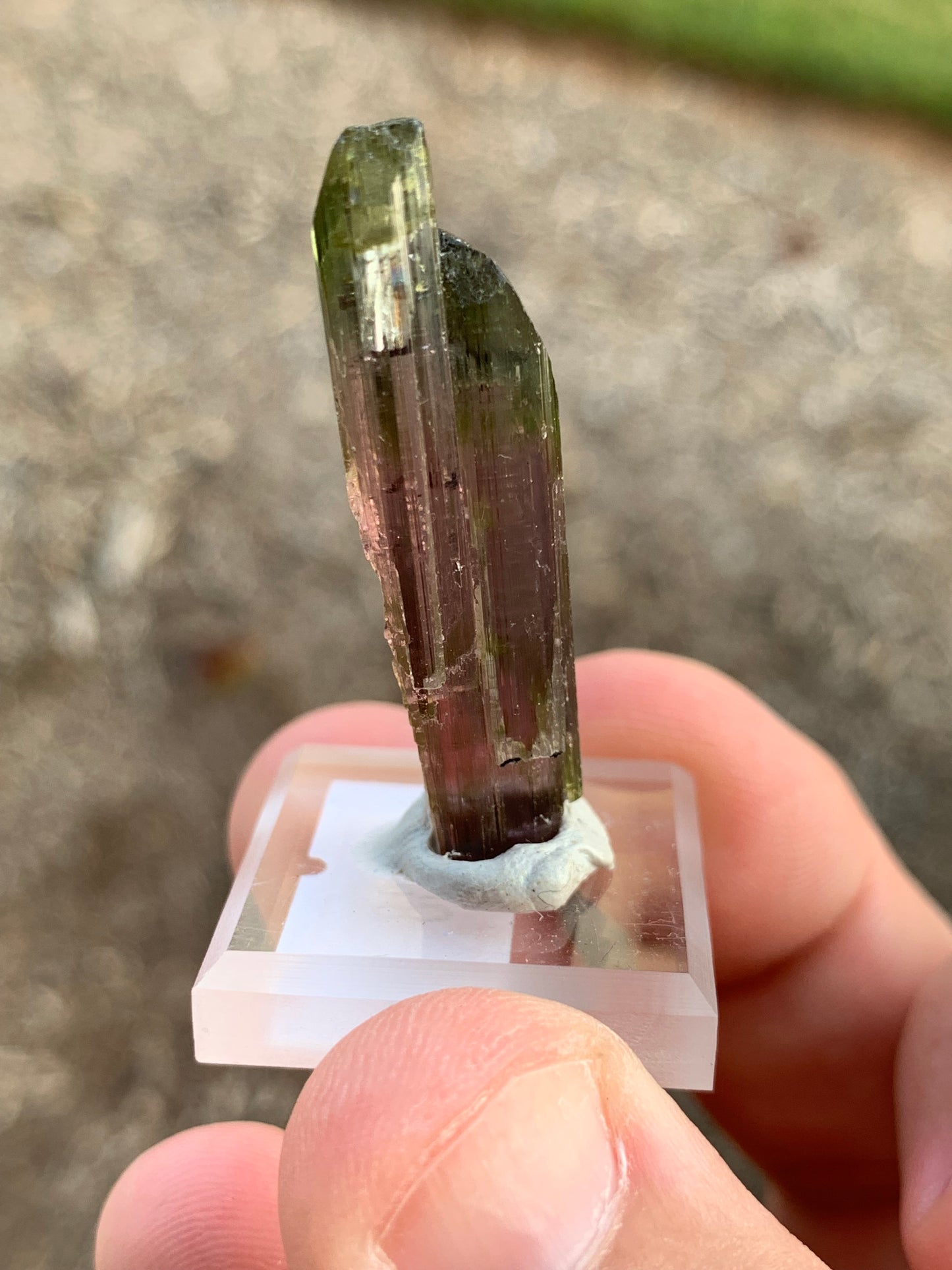 Aricanga Mine Watermelon Brazillian Tourmaline Mineral Specimen