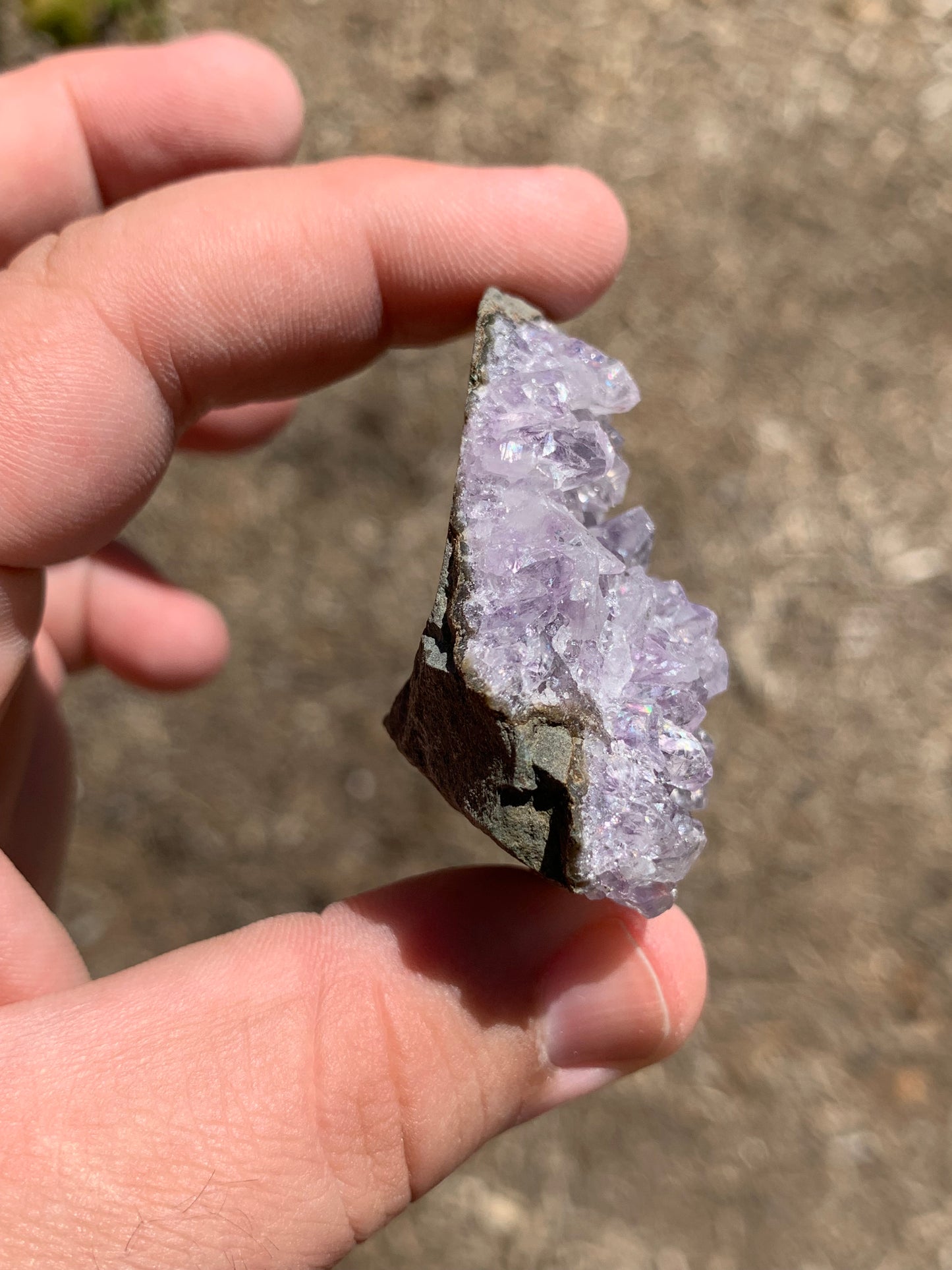 Amethyst Cluster Brazil Mineral Specimen