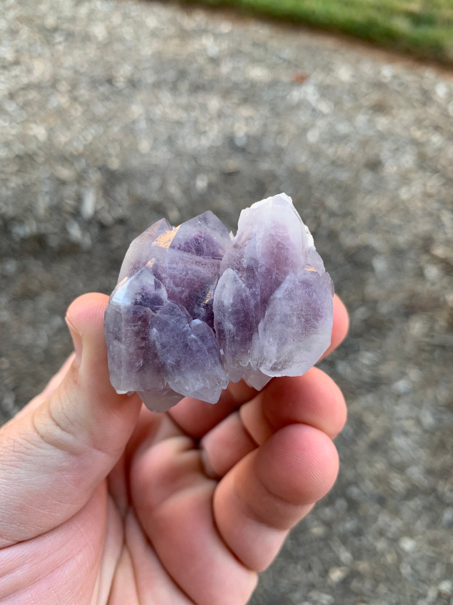 Guerrero Amethyst Cluster Mexico Mineral Specimen