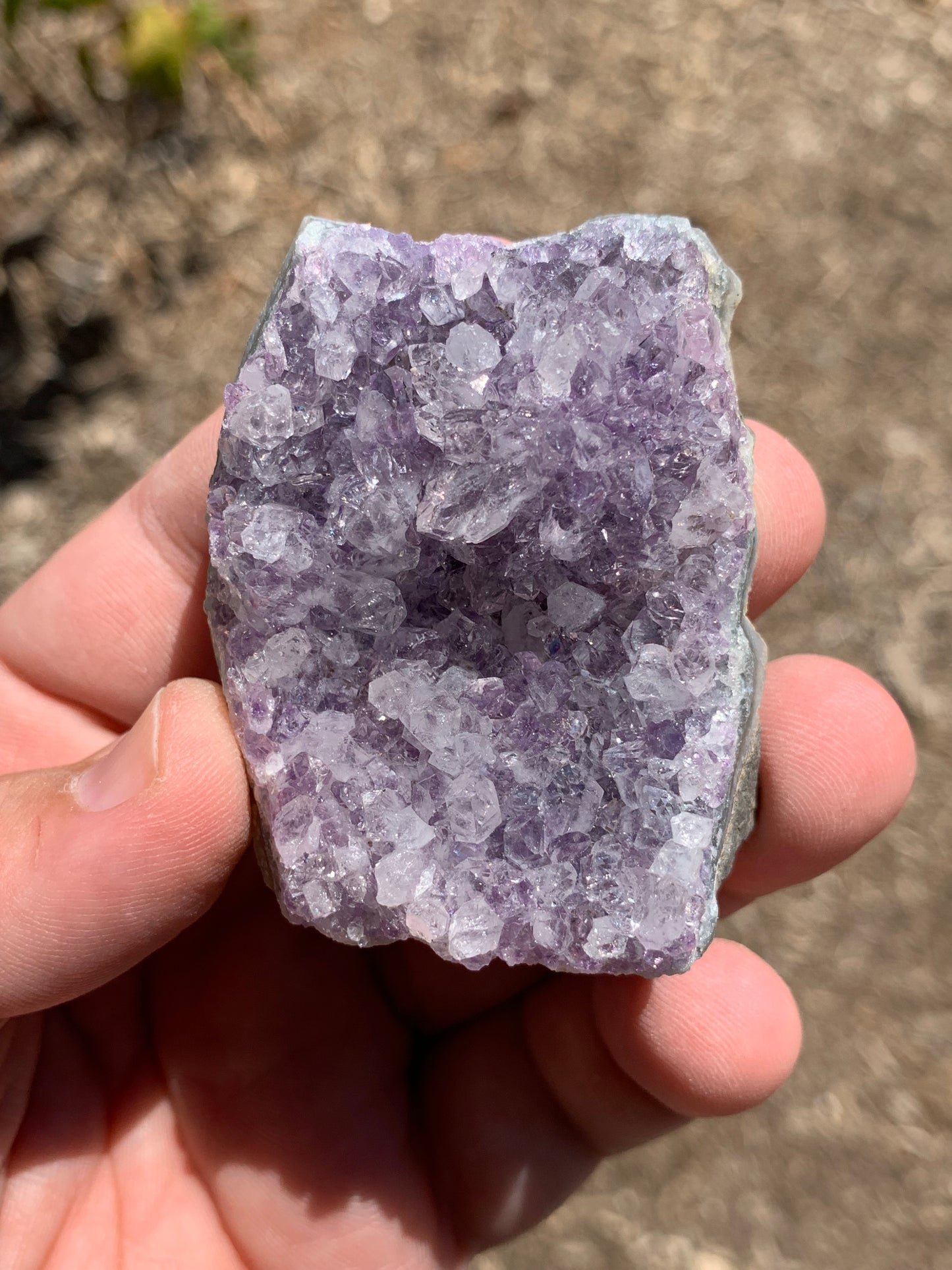 Amethyst Cluster Brazil Mineral Specimen