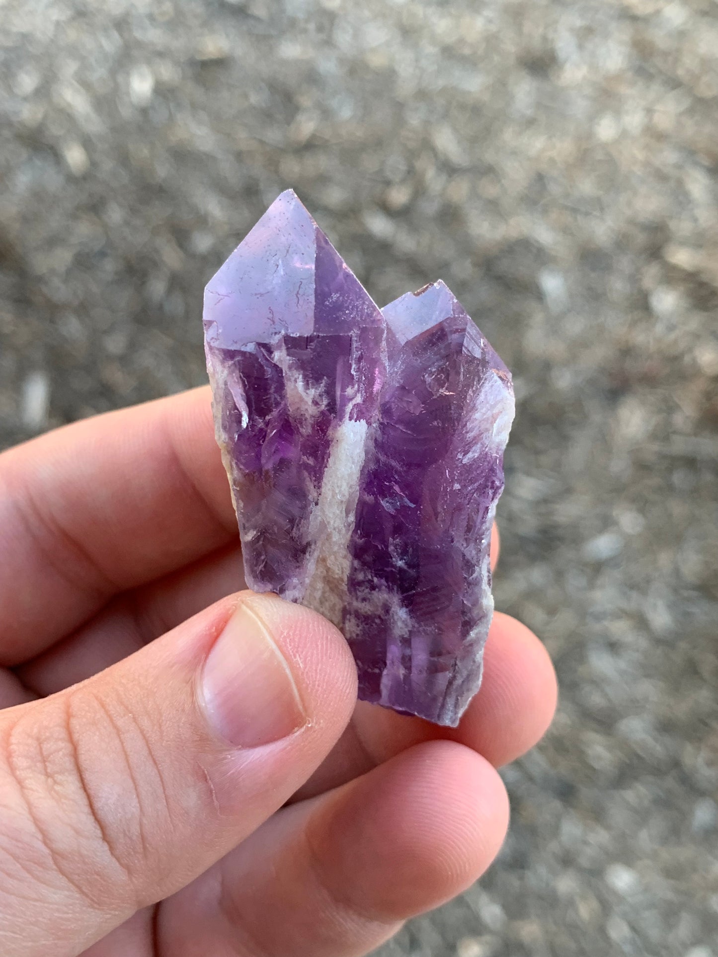 Bahia Baby Dragon Teeth Amethyst Brazil Mineral Specimen