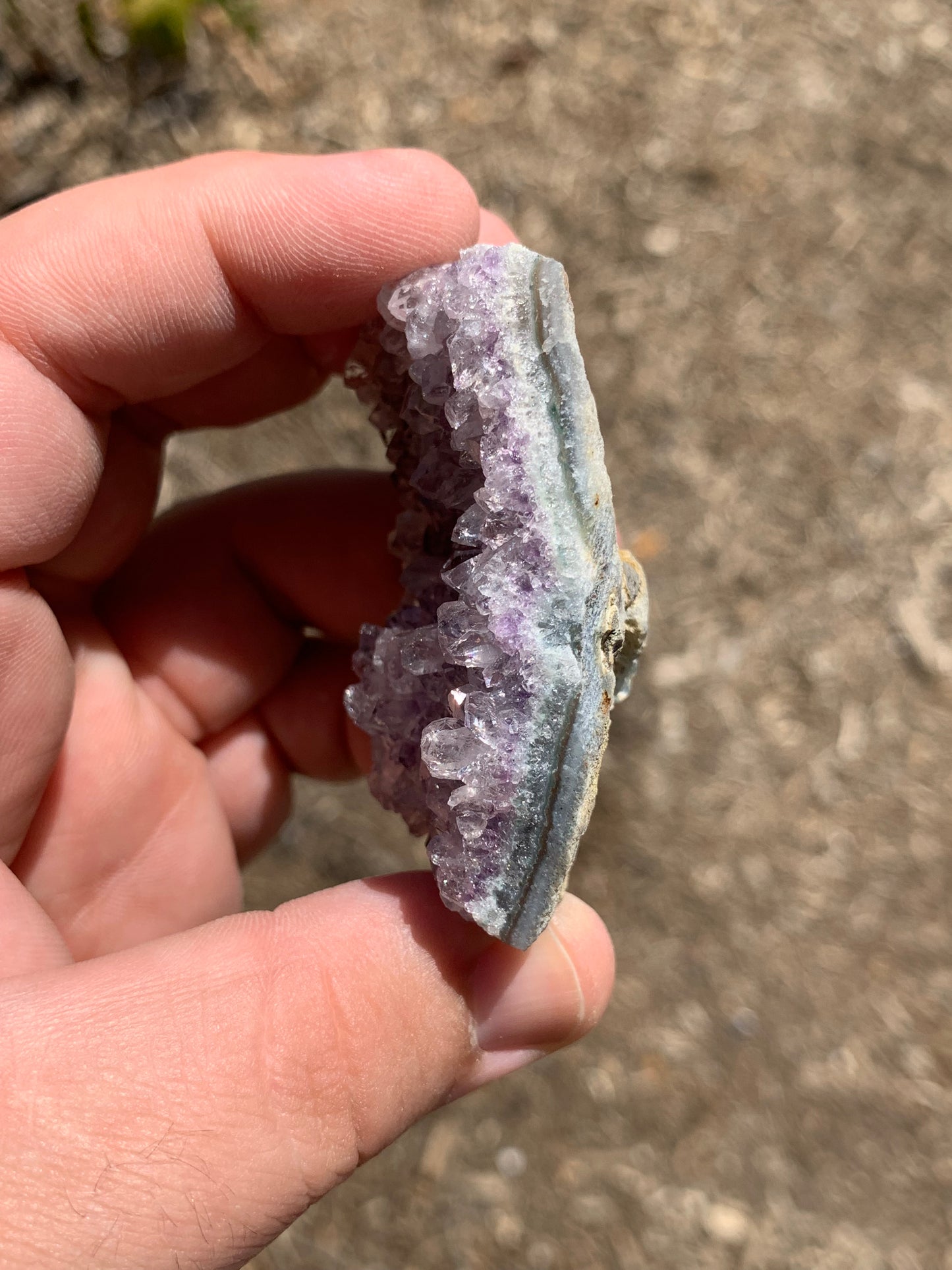 Amethyst Cluster Brazil Mineral Specimen