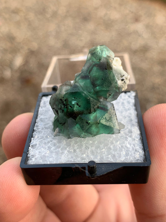 2020 Alien Eye Fluorite Thumbnail Erongo Namibia Mineral Specimen