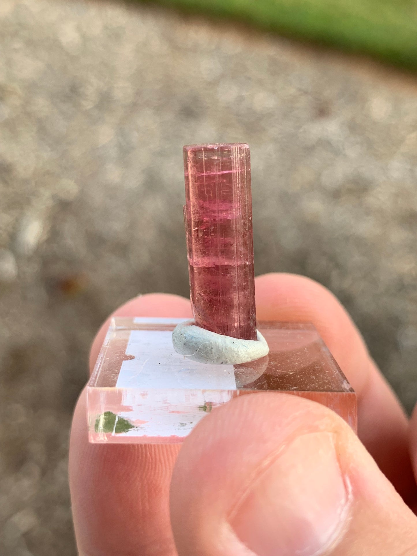 Barra de Salinas Brazillian Tourmaline Mineral Specimen