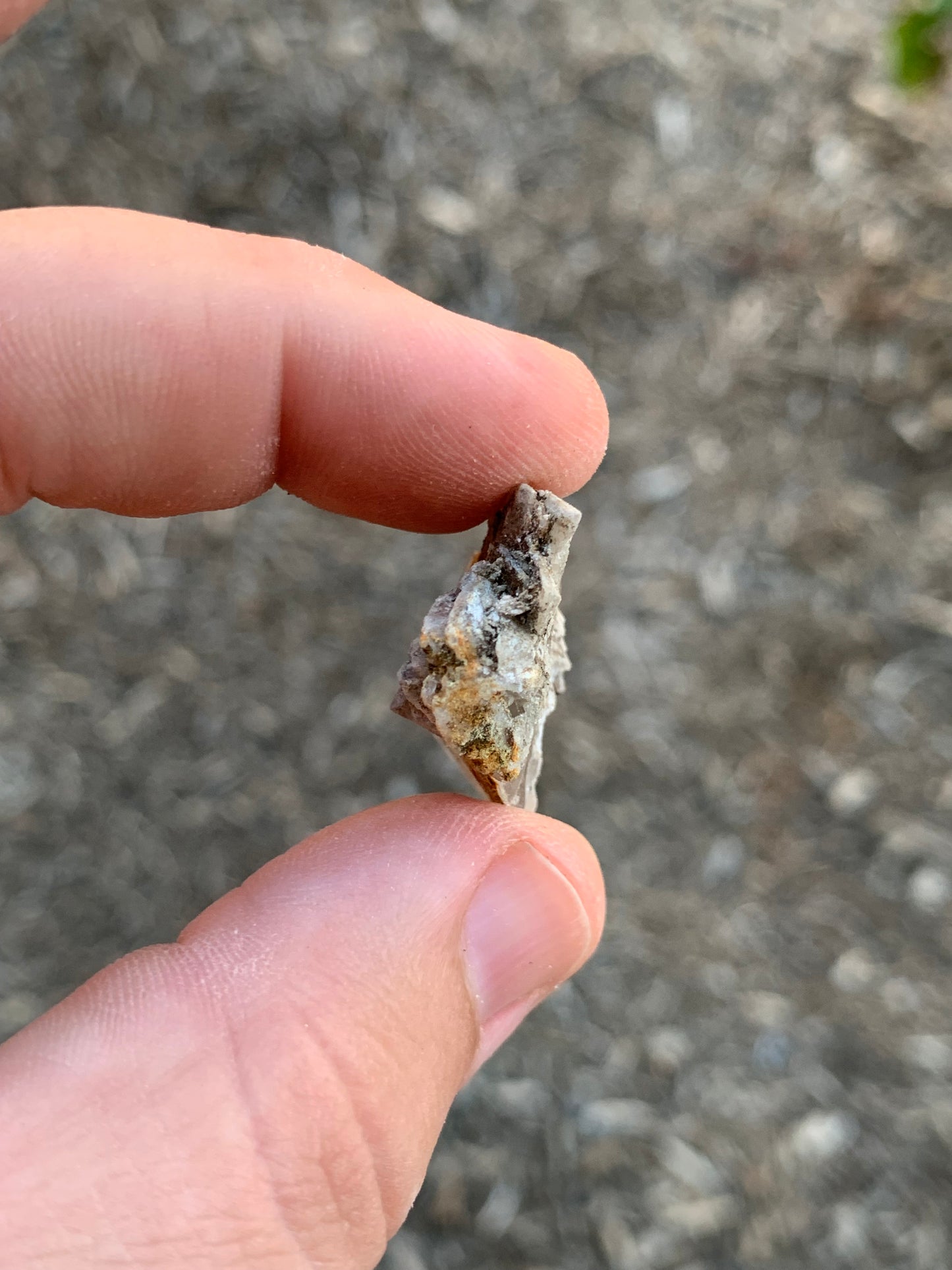 Glauberite Crystal California USA Mineral Specimen