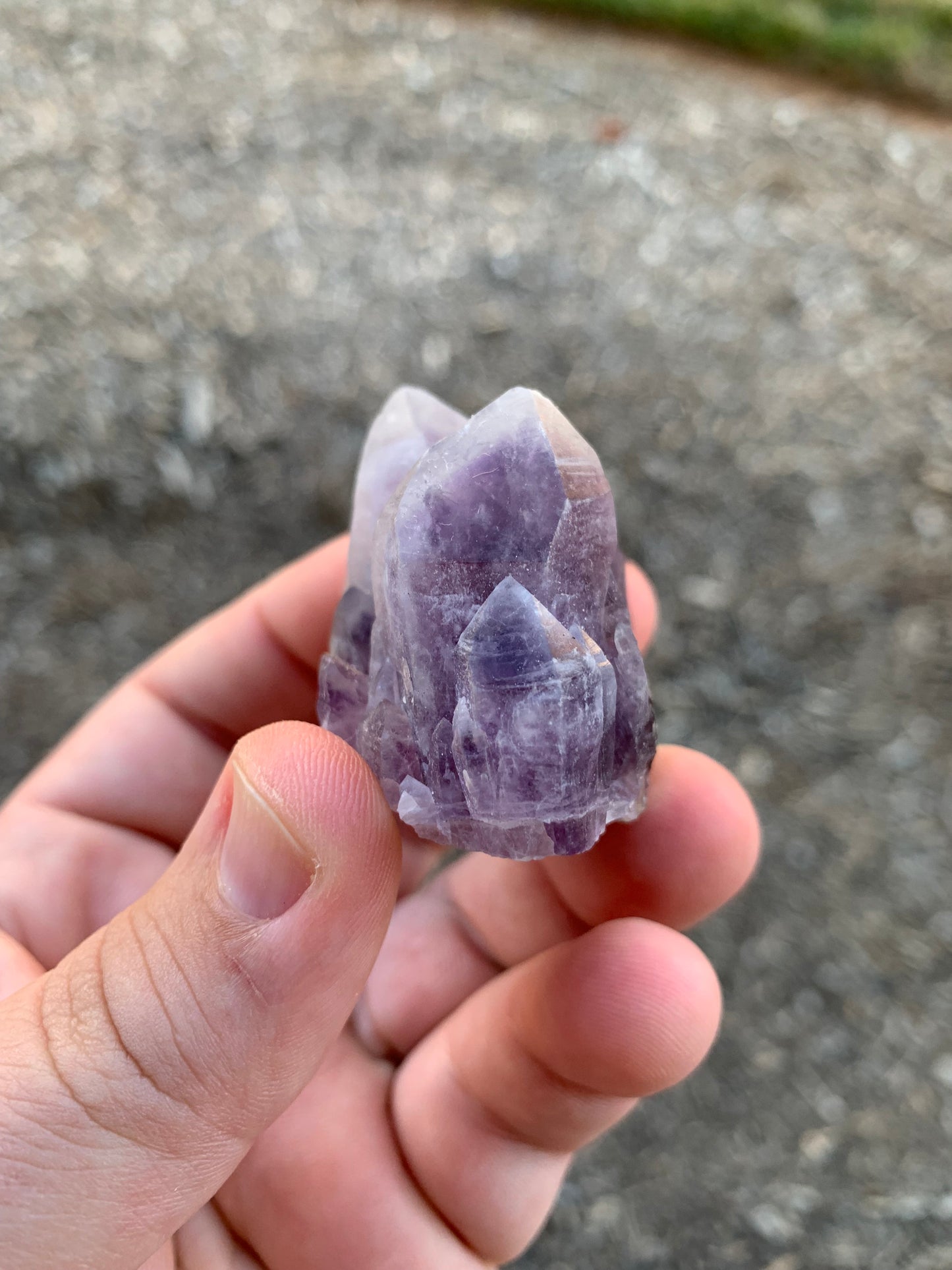 Guerrero Amethyst Cluster Mexico Mineral Specimen