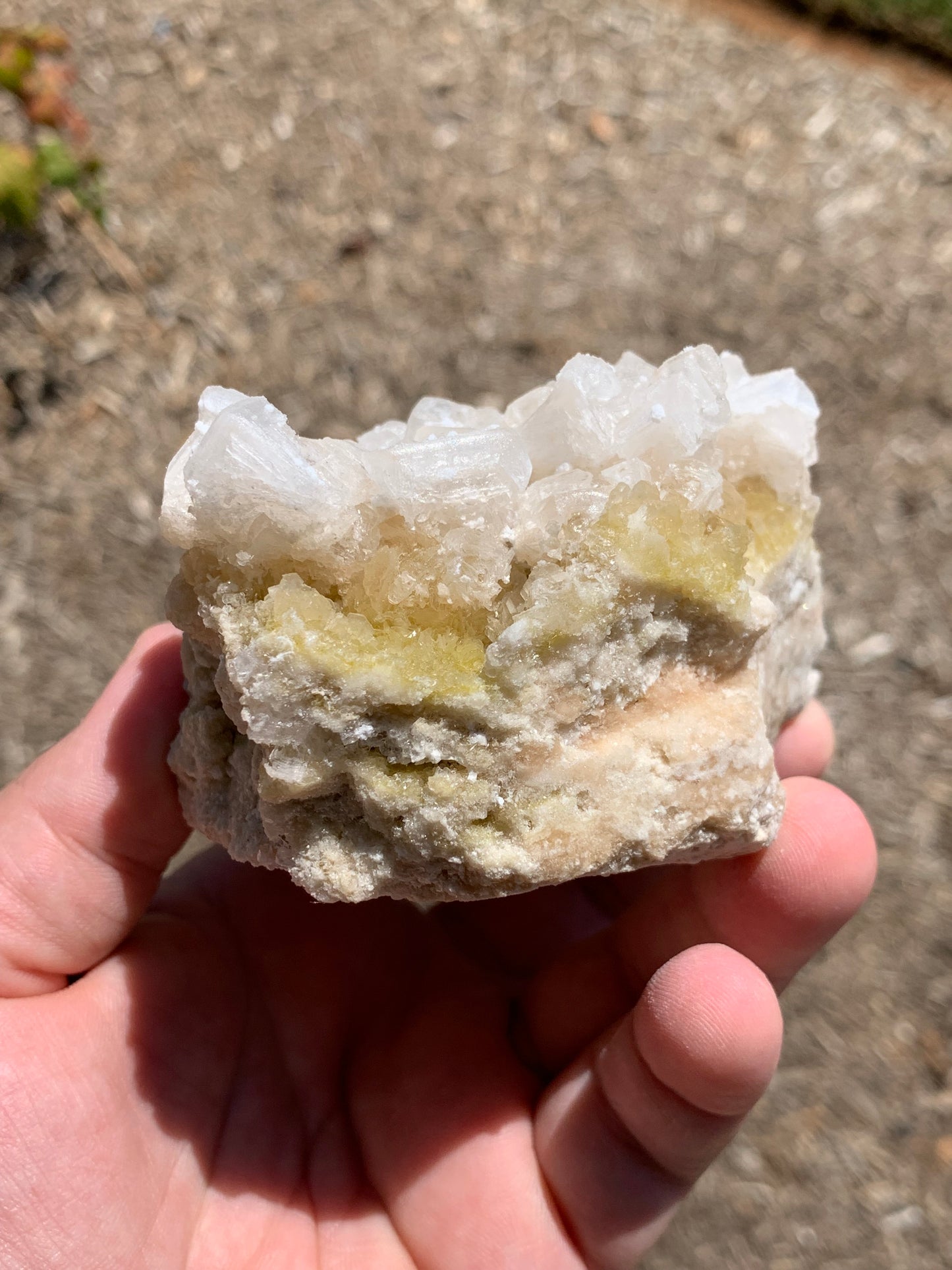 Halite Salt Crystal Cluster Searles Lake California USA Mineral Specimen