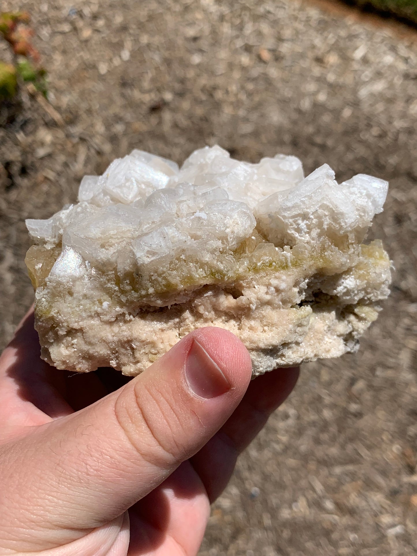 Halite Salt Crystal Cluster Searles Lake California USA Mineral Specimen