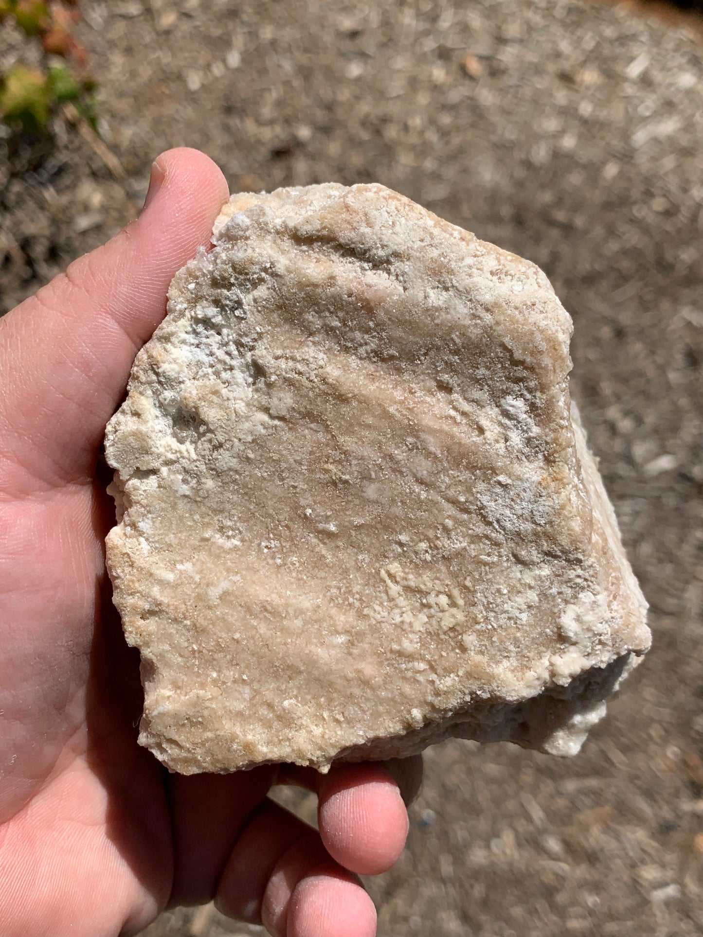 Halite Salt Crystal Cluster Searles Lake California USA Mineral Specimen