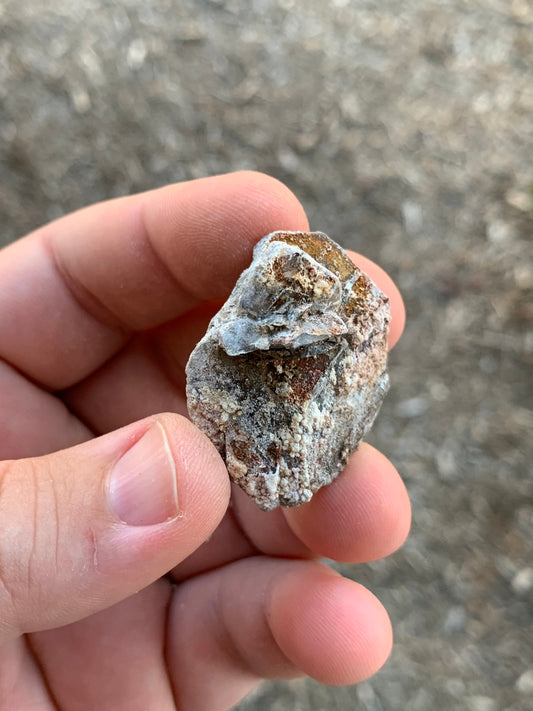 Glauberite Crystal California USA Mineral Specimen