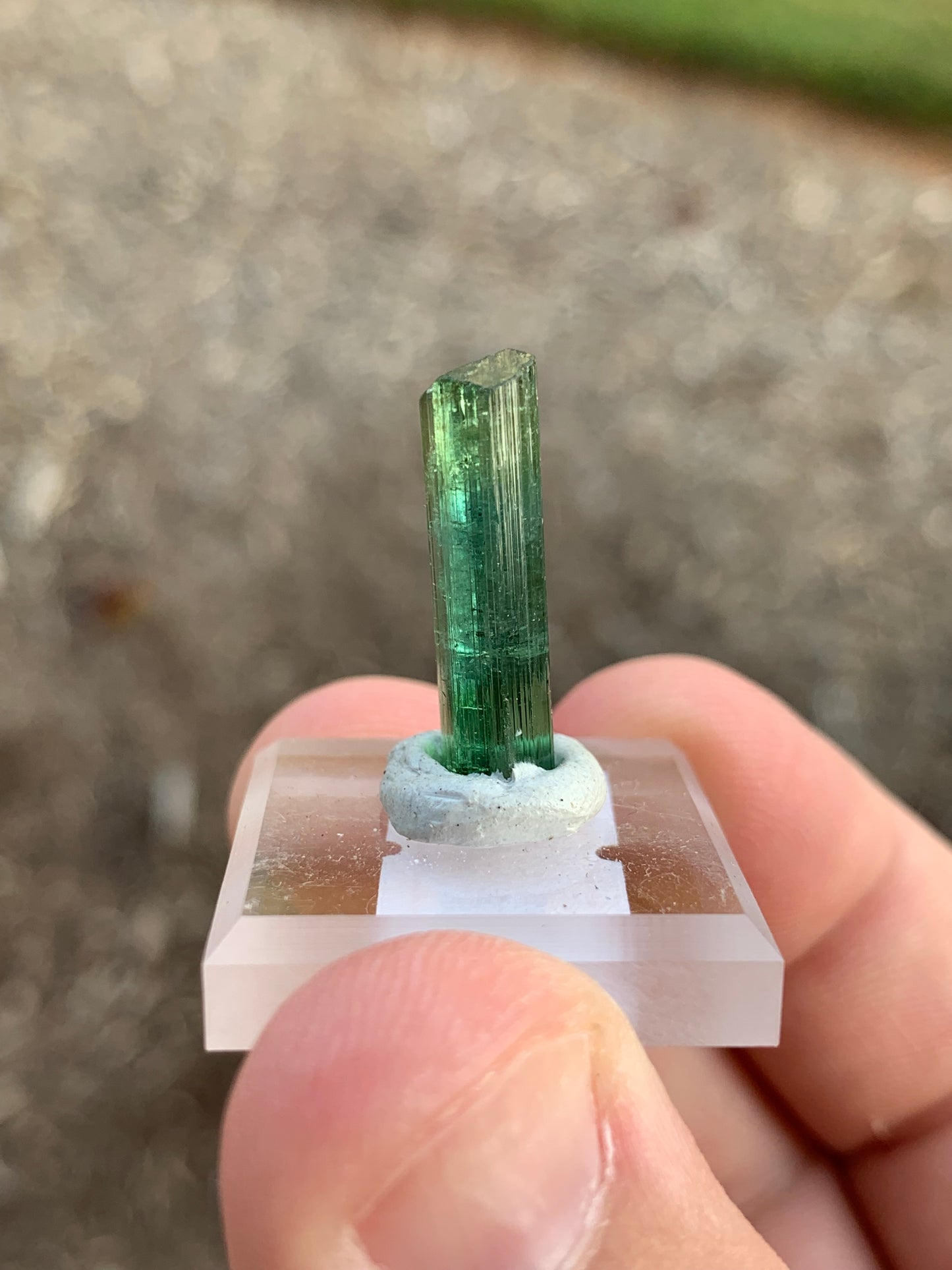 Barra de Salinas Brazillian Tourmaline Mineral Specimen