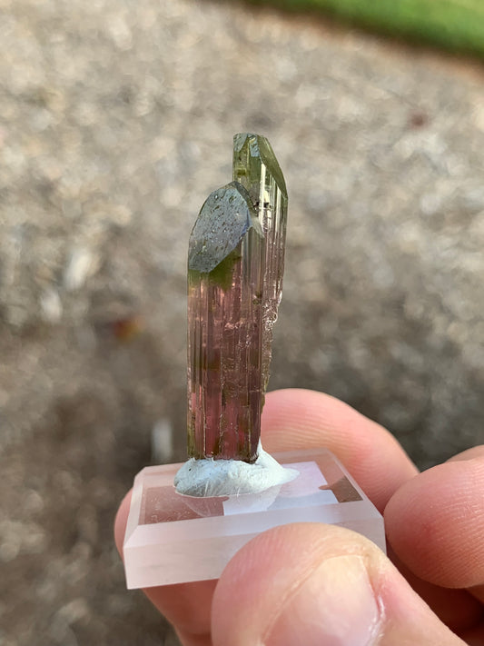 Aricanga Mine Watermelon Brazillian Tourmaline Mineral Specimen