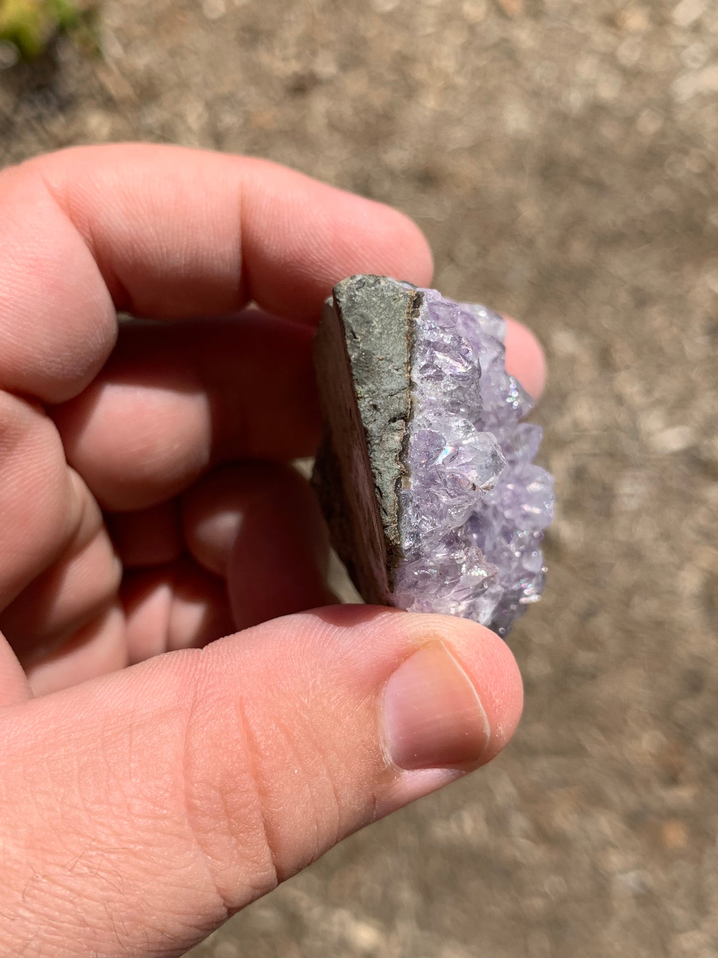 Amethyst Cluster Brazil Mineral Specimen