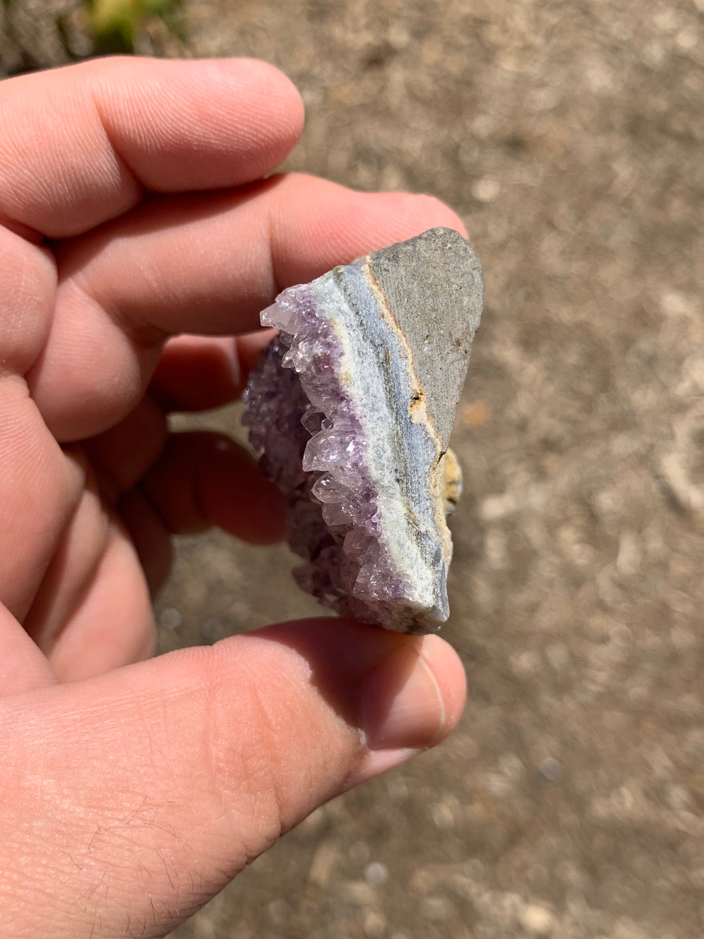 Amethyst Cluster Brazil Mineral Specimen