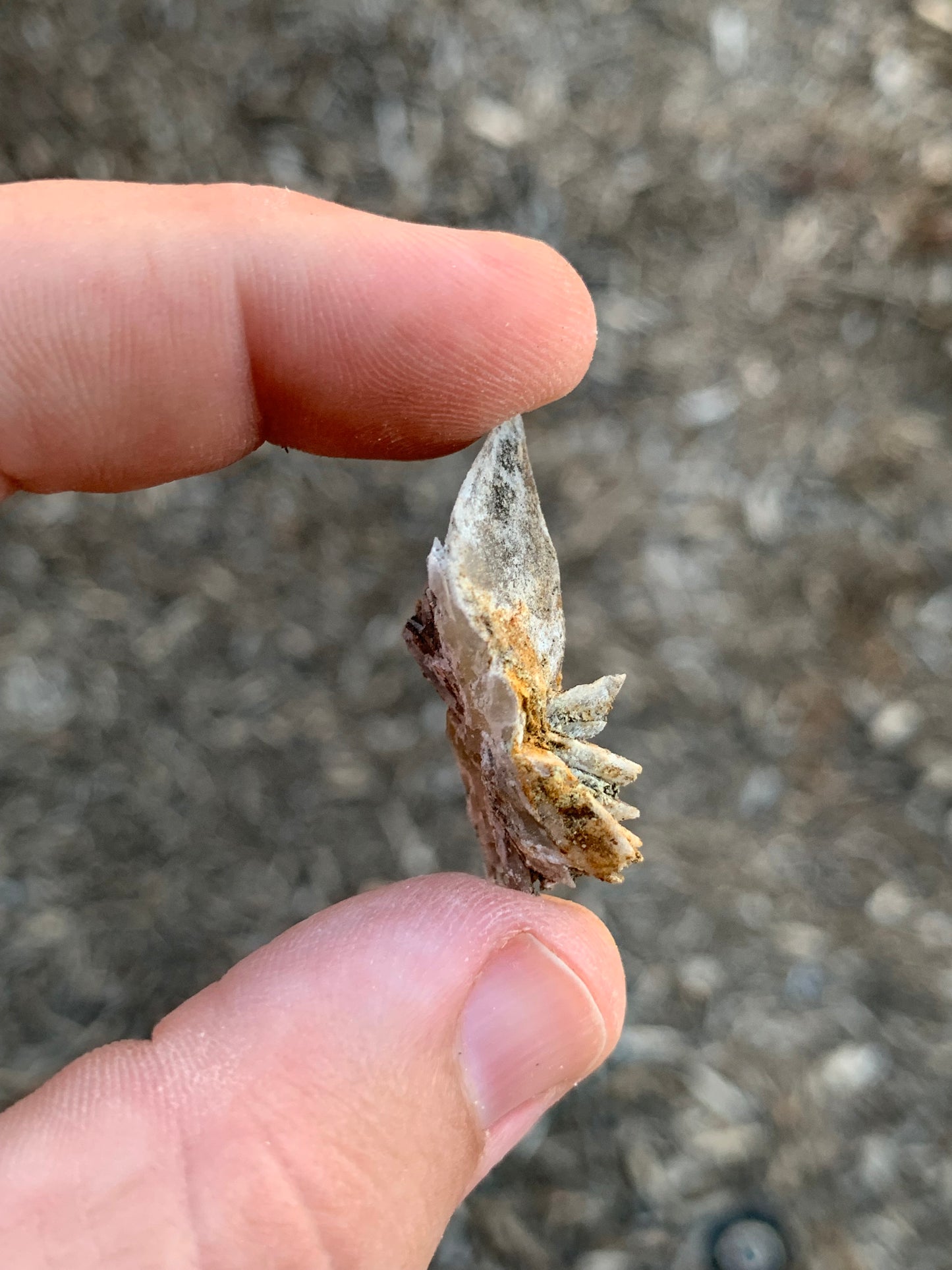 Glauberite Crystal California USA Mineral Specimen