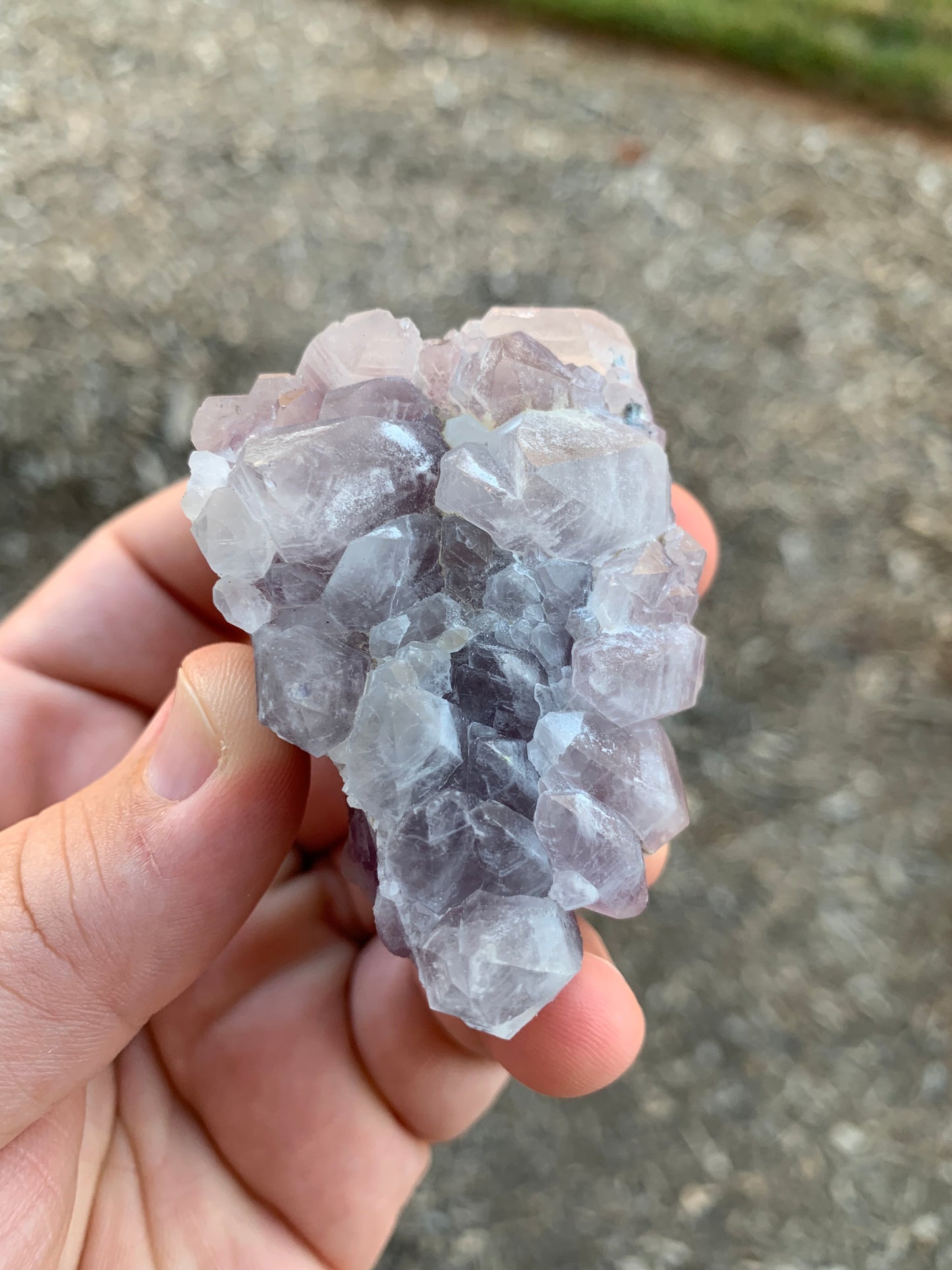 Guerrero Amethyst Cluster Mexico Mineral Specimen