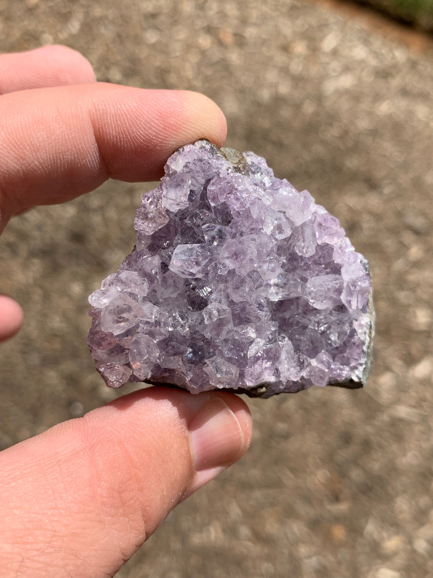 Amethyst Cluster Brazil Mineral Specimen