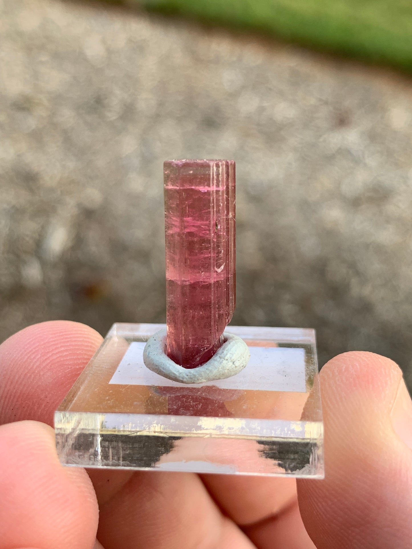 Barra de Salinas Brazillian Tourmaline Mineral Specimen