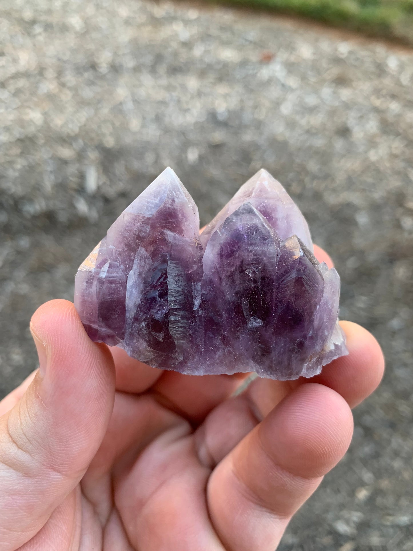 Guerrero Amethyst Cluster Mexico Mineral Specimen