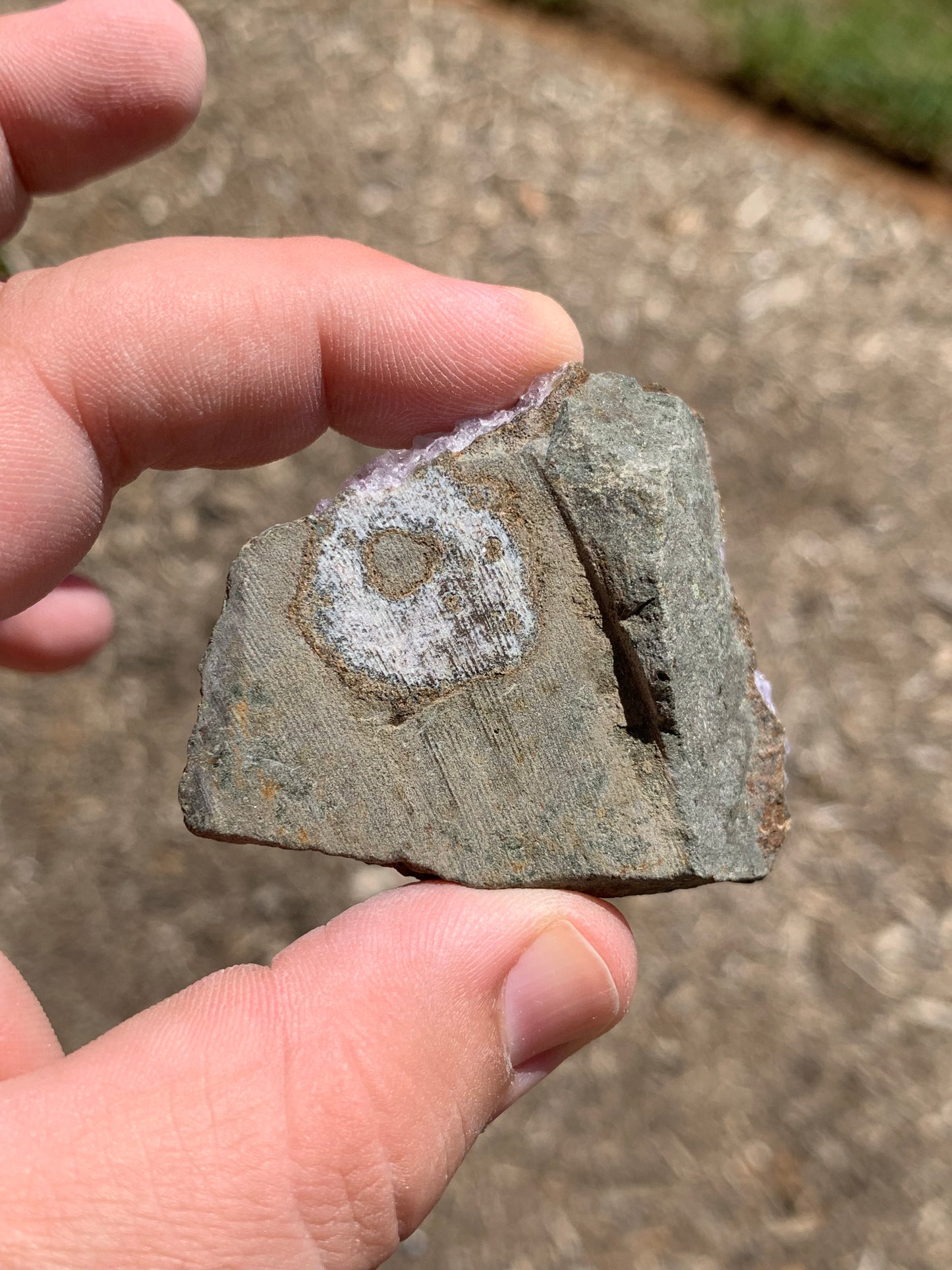 Amethyst Cluster Brazil Mineral Specimen