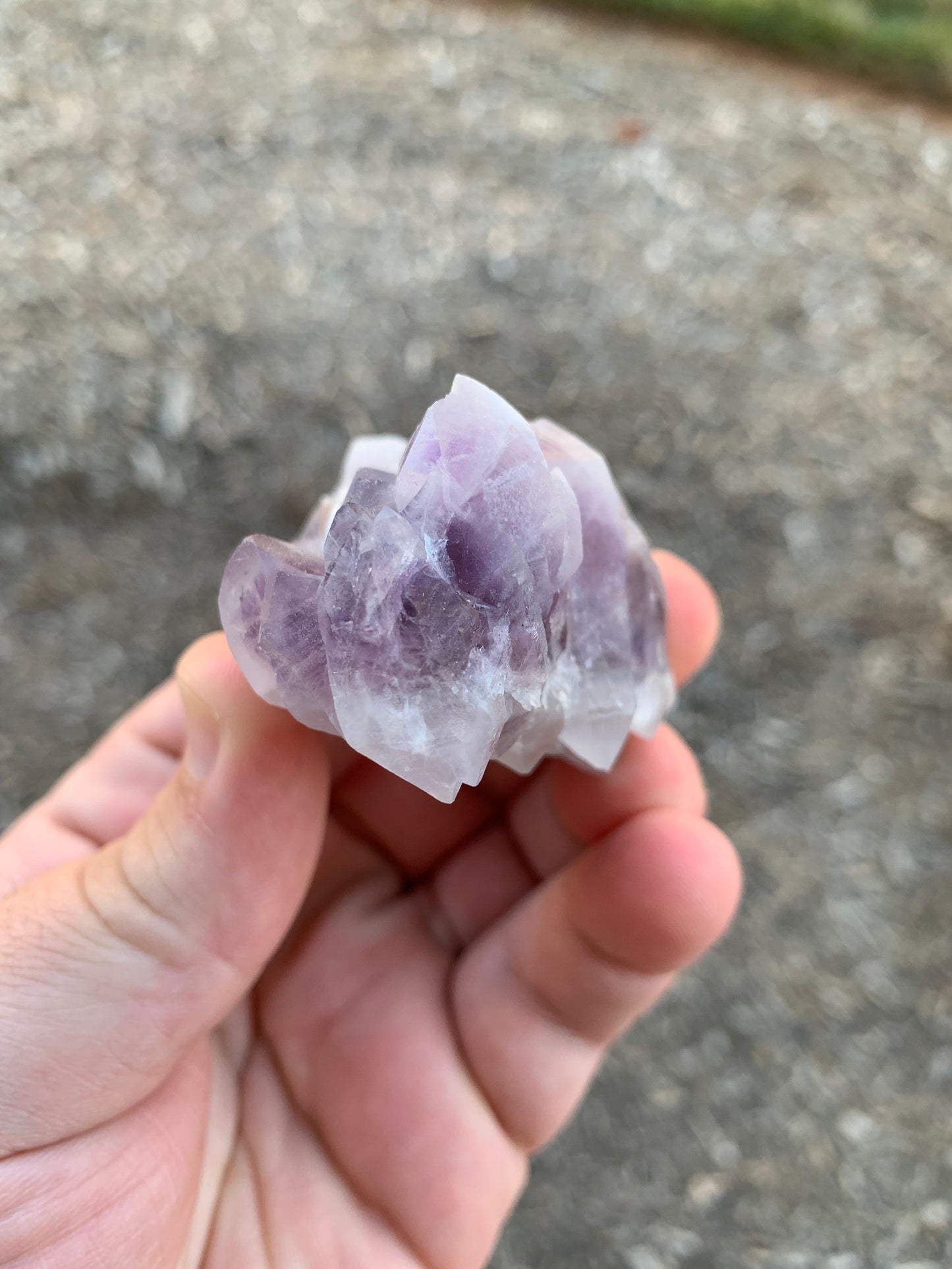 Guerrero Amethyst Cluster Mexico Mineral Specimen